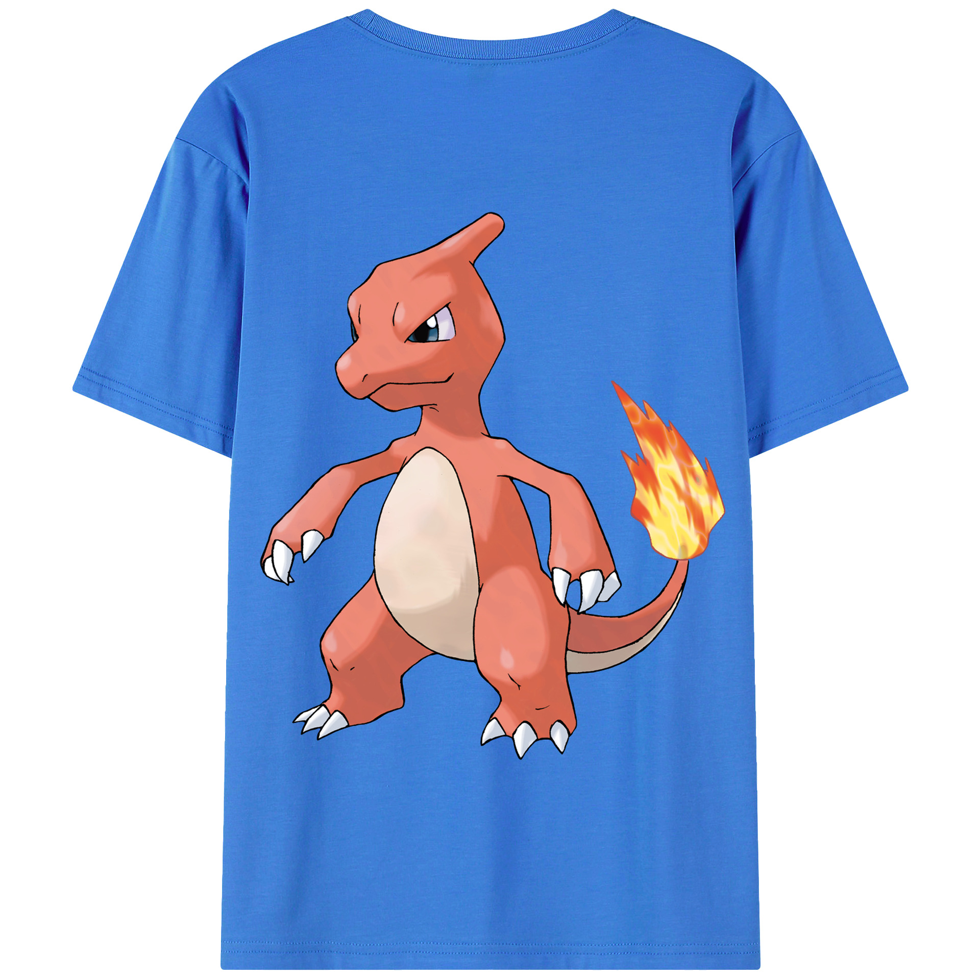 （画像用） ポケットモンスター Pokémon 綿100％半袖Tシャツ（背面プリント）
