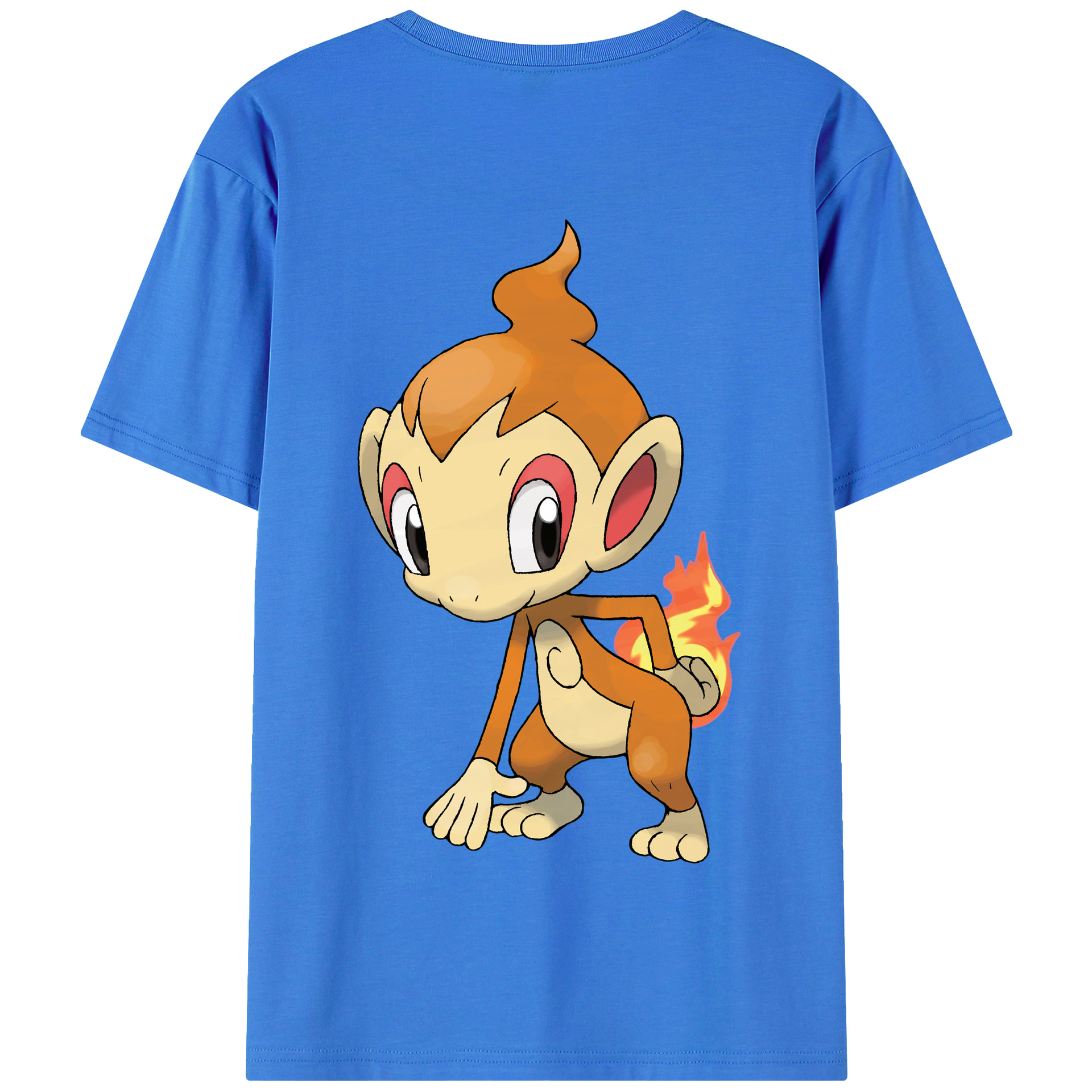 （画像用） ポケットモンスター Pokémon 綿100％半袖Tシャツ（背面プリント）
