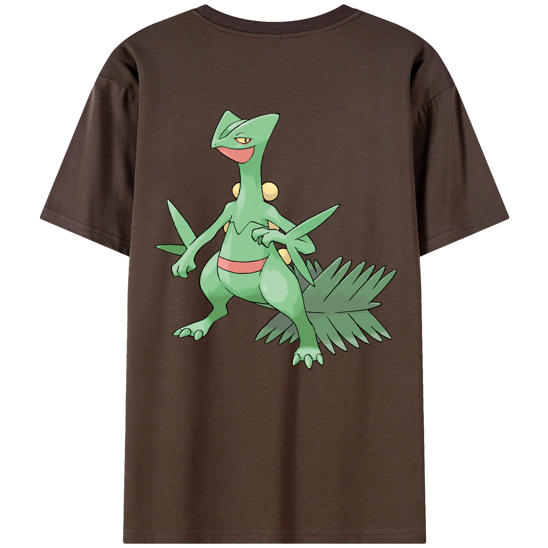 （画像用） ポケットモンスター Pokémon 綿100％半袖Tシャツ（背面プリント）