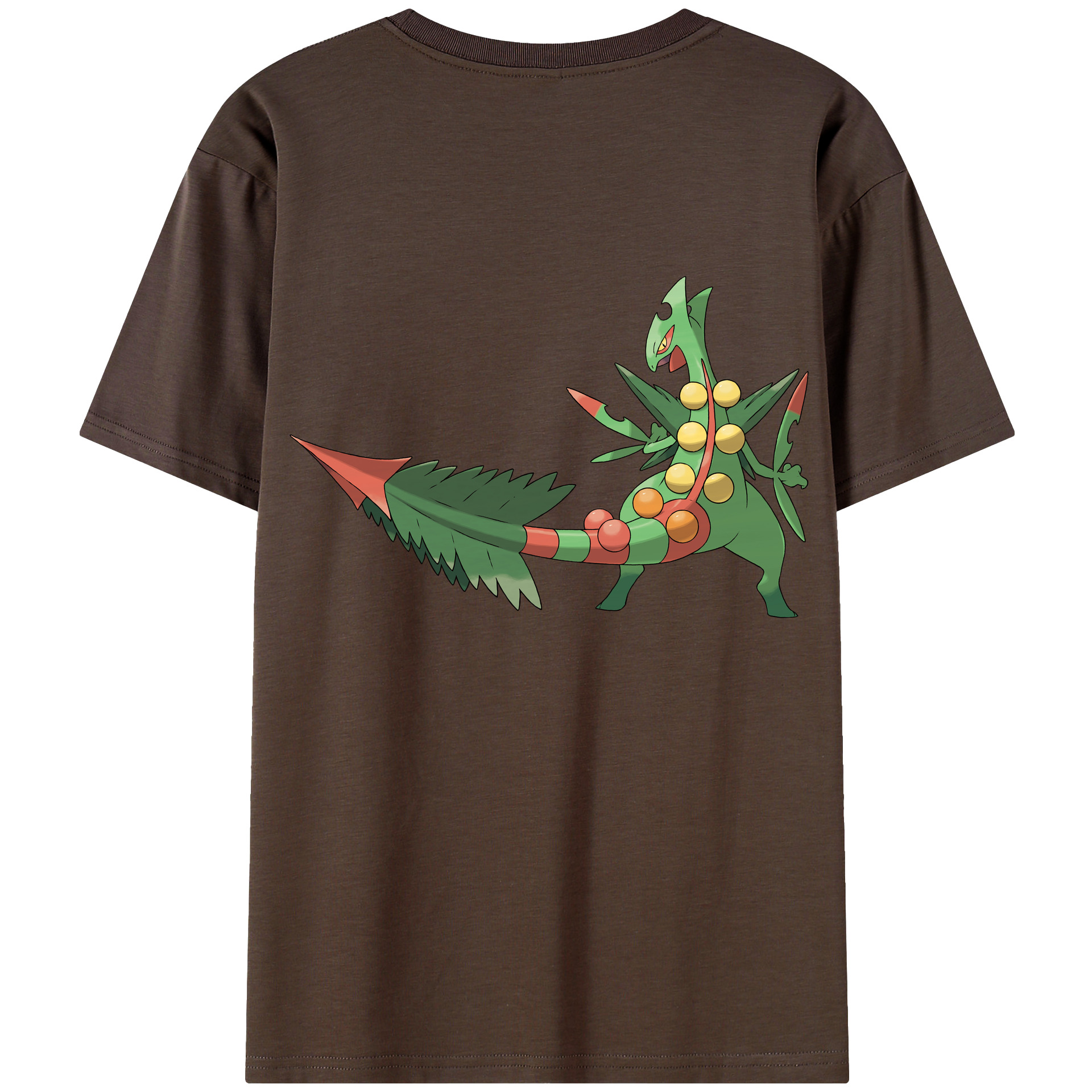 （画像用） ポケットモンスター Pokémon 綿100％半袖Tシャツ（背面プリント）