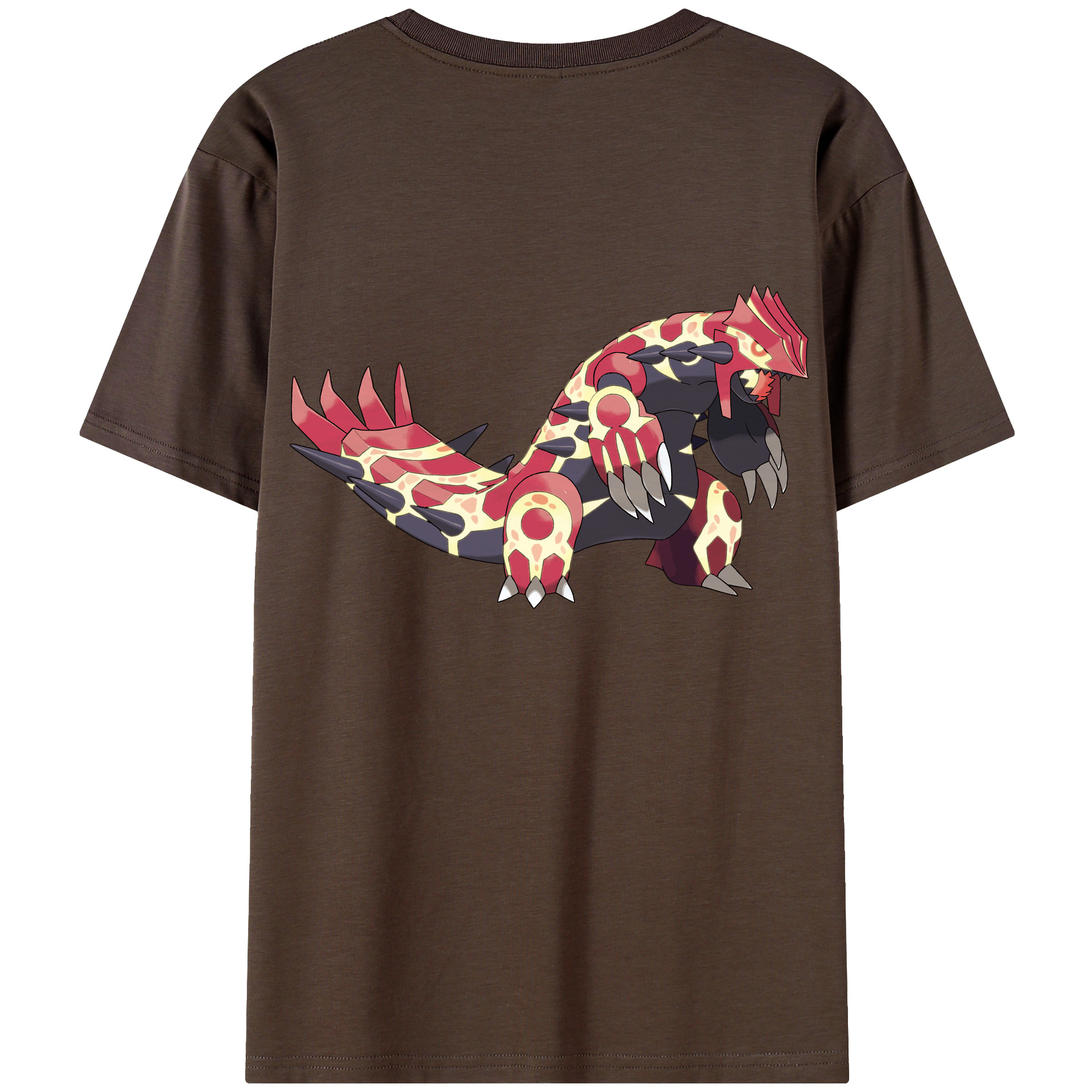 （画像用） ポケットモンスター Pokémon 綿100％半袖Tシャツ（背面プリント）