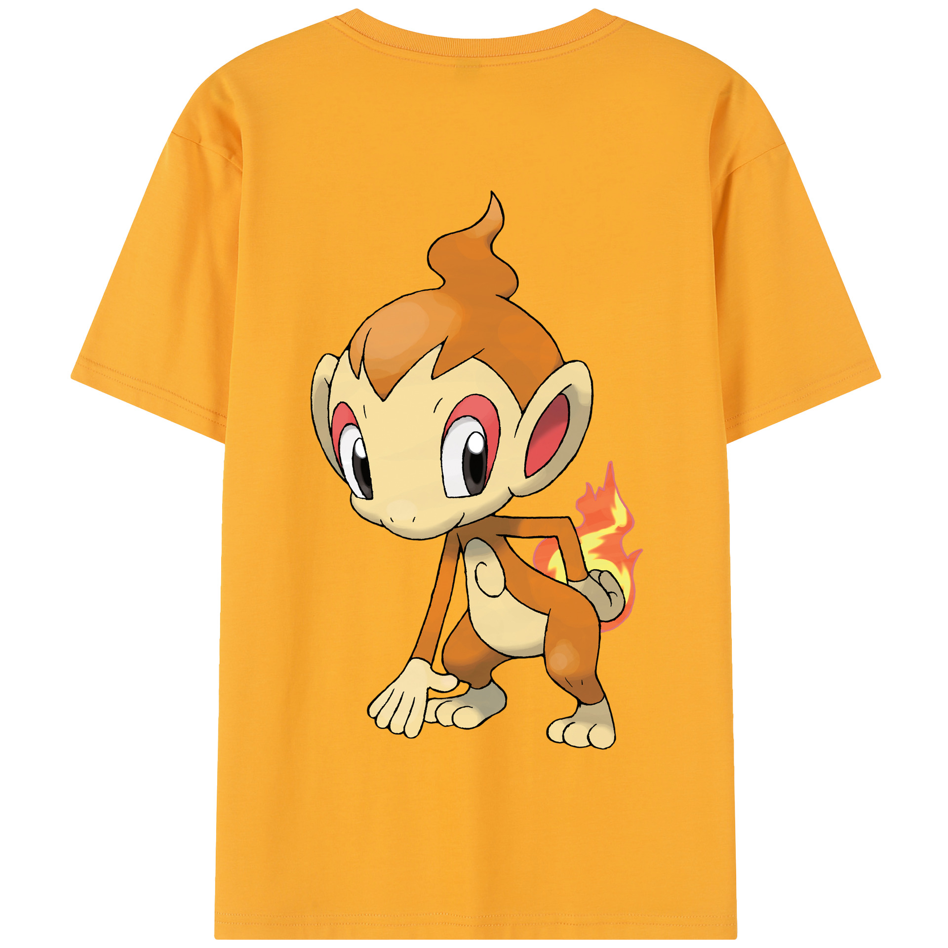 （画像用） ポケットモンスター Pokémon 綿100％半袖Tシャツ（背面プリント）
