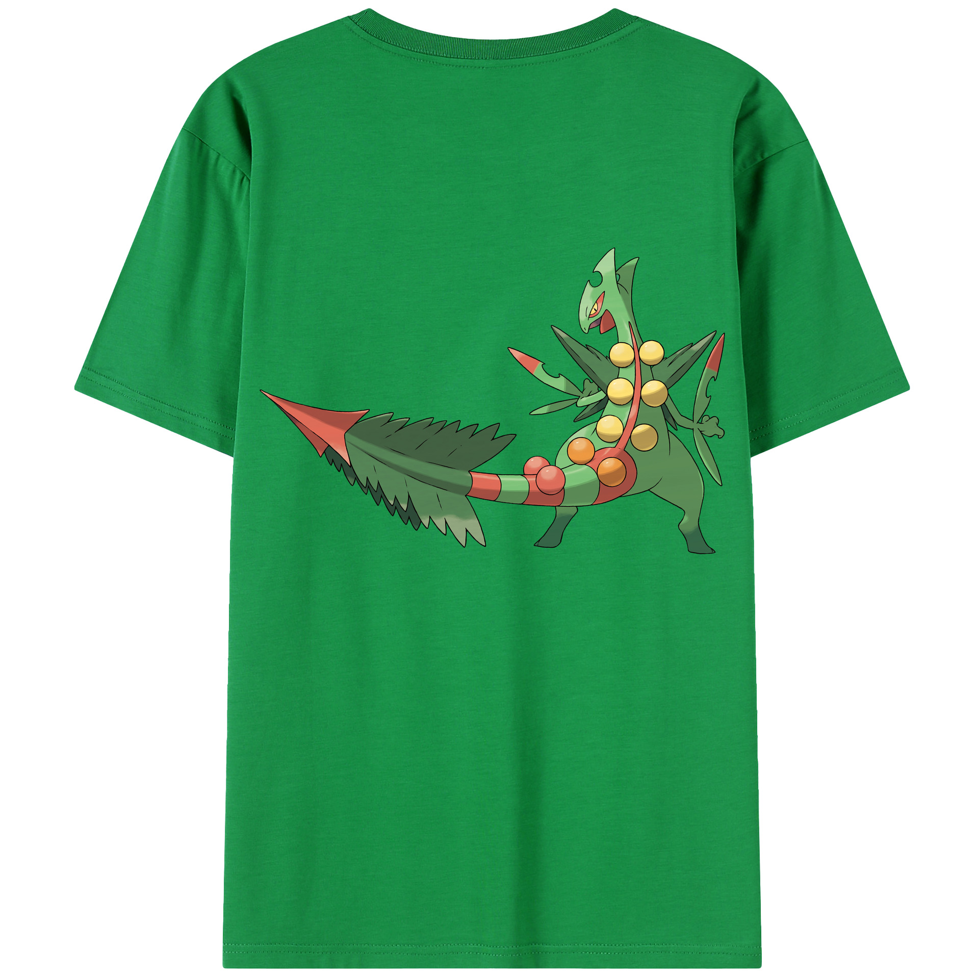 （画像用） ポケットモンスター Pokémon 綿100％半袖Tシャツ（背面プリント）