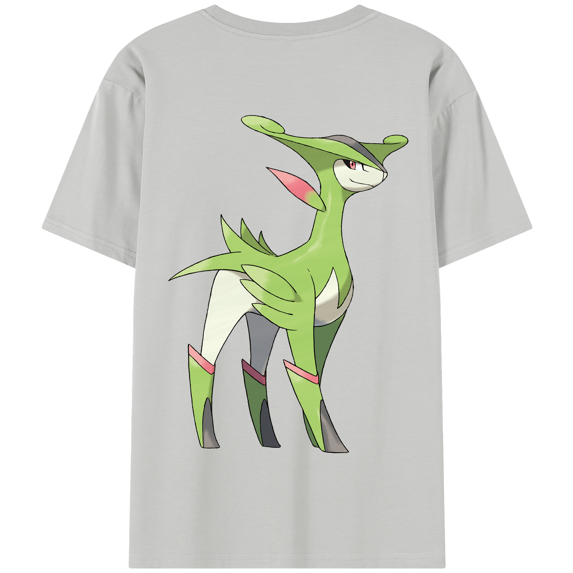 （画像用） ポケットモンスター Pokémon 綿100％半袖Tシャツ（背面プリント）