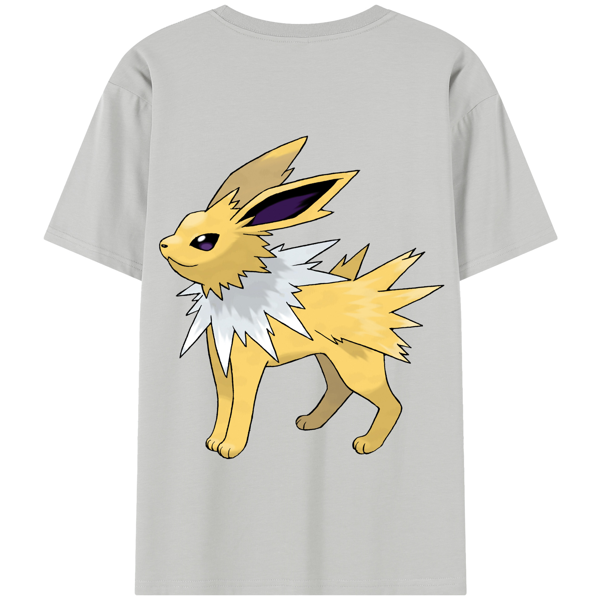 （画像用） ポケットモンスター Pokémon 綿100％半袖Tシャツ（背面プリント）