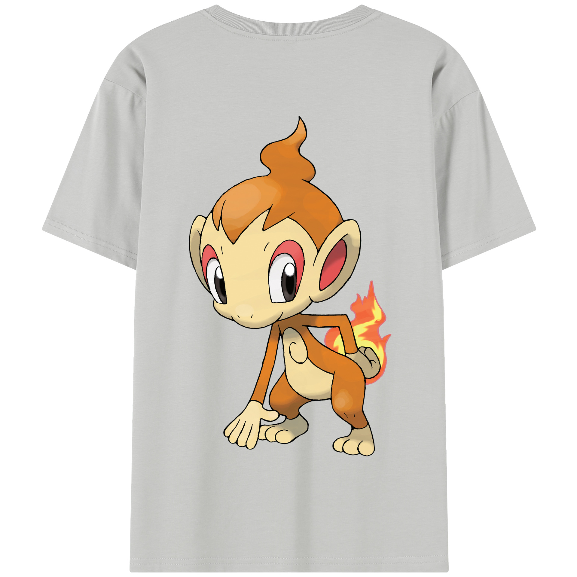 （画像用） ポケットモンスター Pokémon 綿100％半袖Tシャツ（背面プリント）