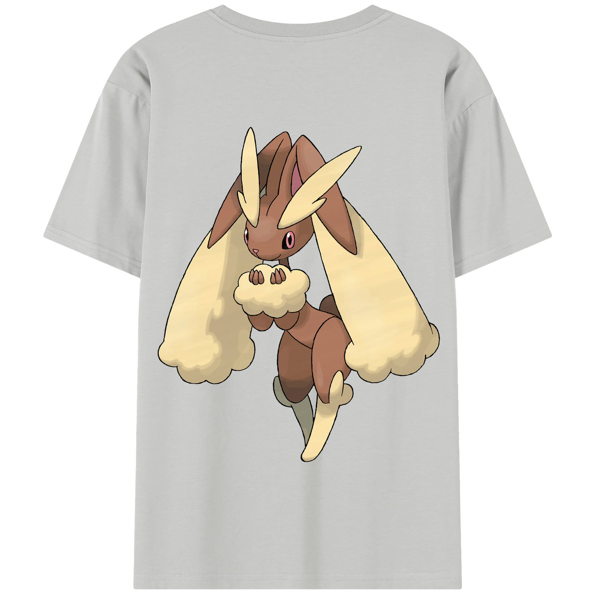 （画像用） ポケットモンスター Pokémon 綿100％半袖Tシャツ（背面プリント）