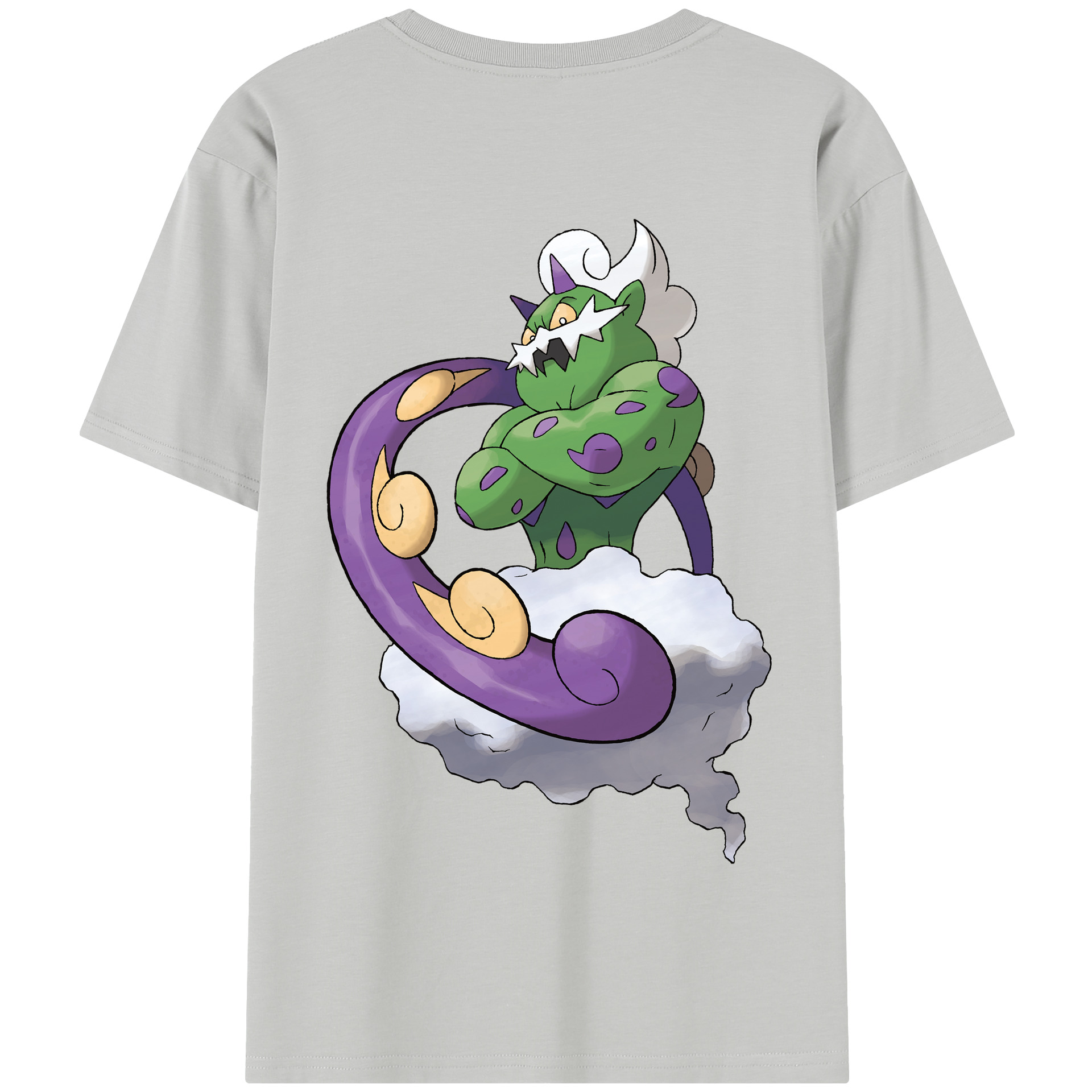 （画像用） ポケットモンスター Pokémon 綿100％半袖Tシャツ（背面プリント）