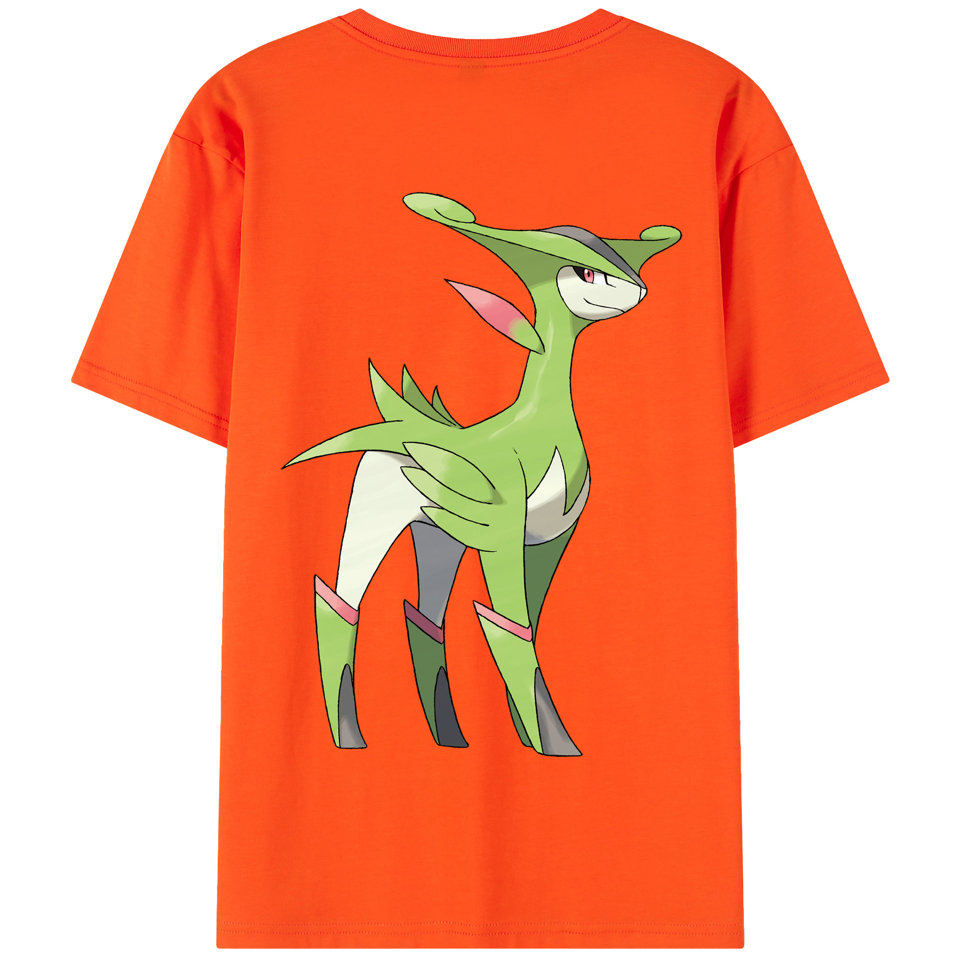 （画像用） ポケットモンスター Pokémon 綿100％半袖Tシャツ（背面プリント）