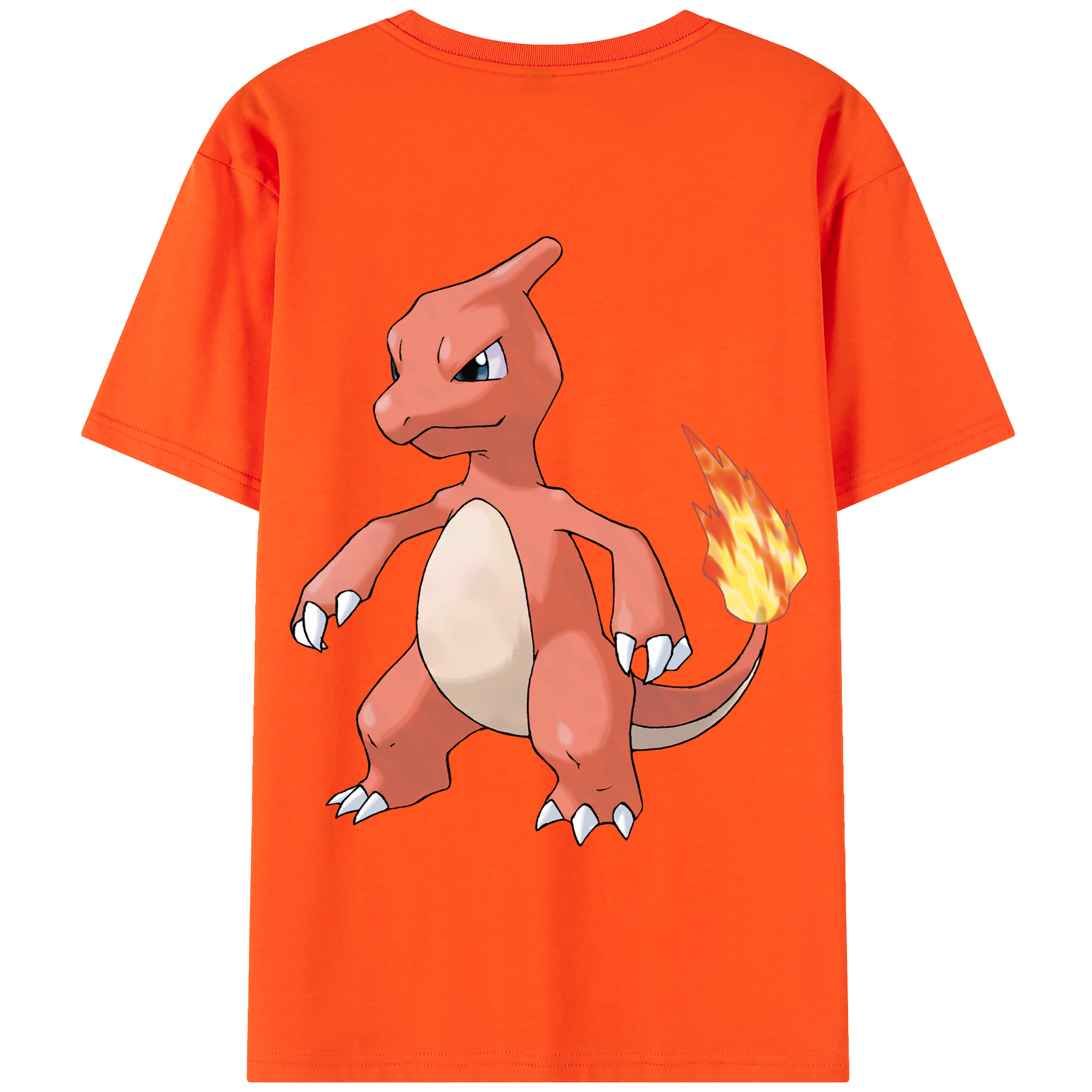（画像用） ポケットモンスター Pokémon 綿100％半袖Tシャツ（背面プリント）