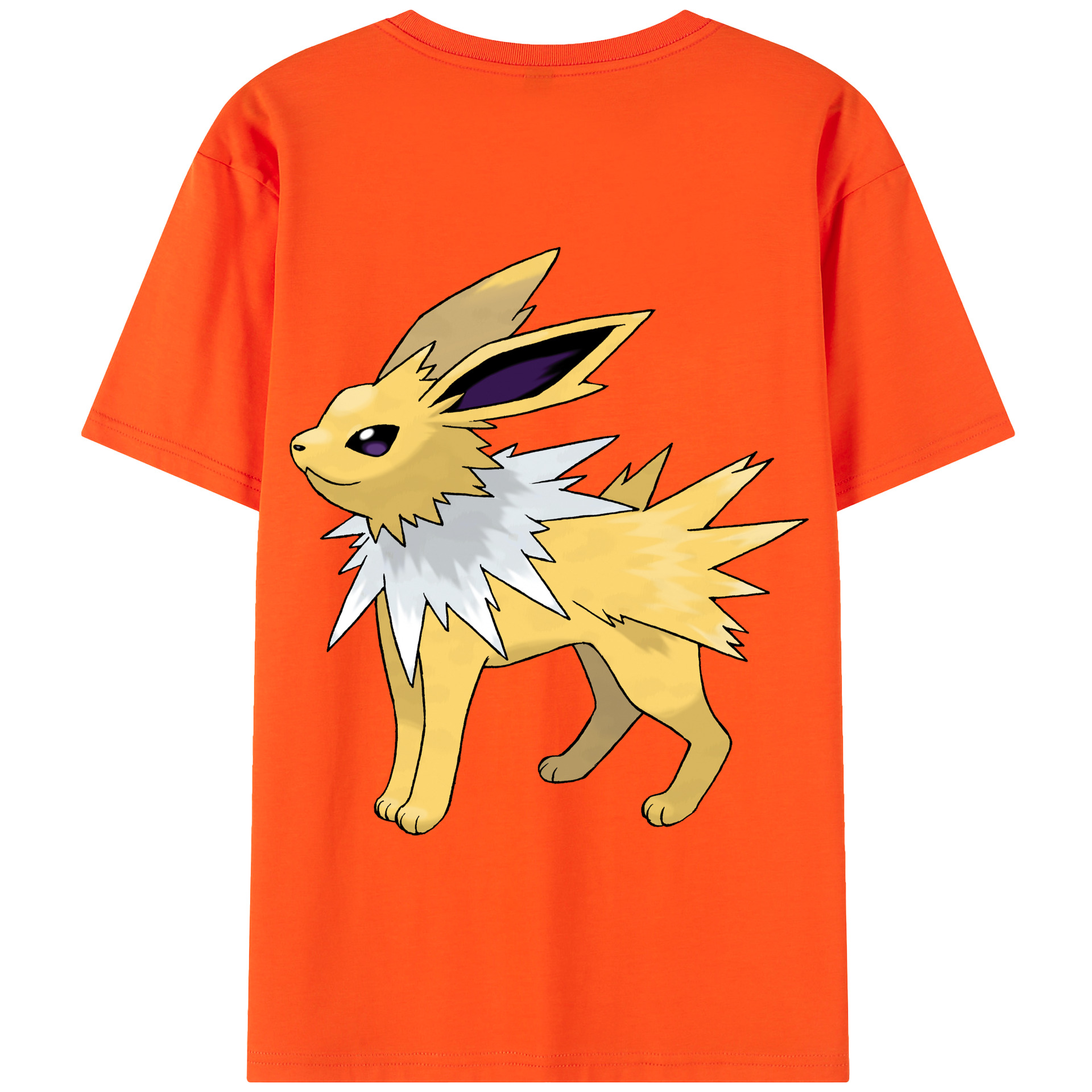 （画像用） ポケットモンスター Pokémon 綿100％半袖Tシャツ（背面プリント）