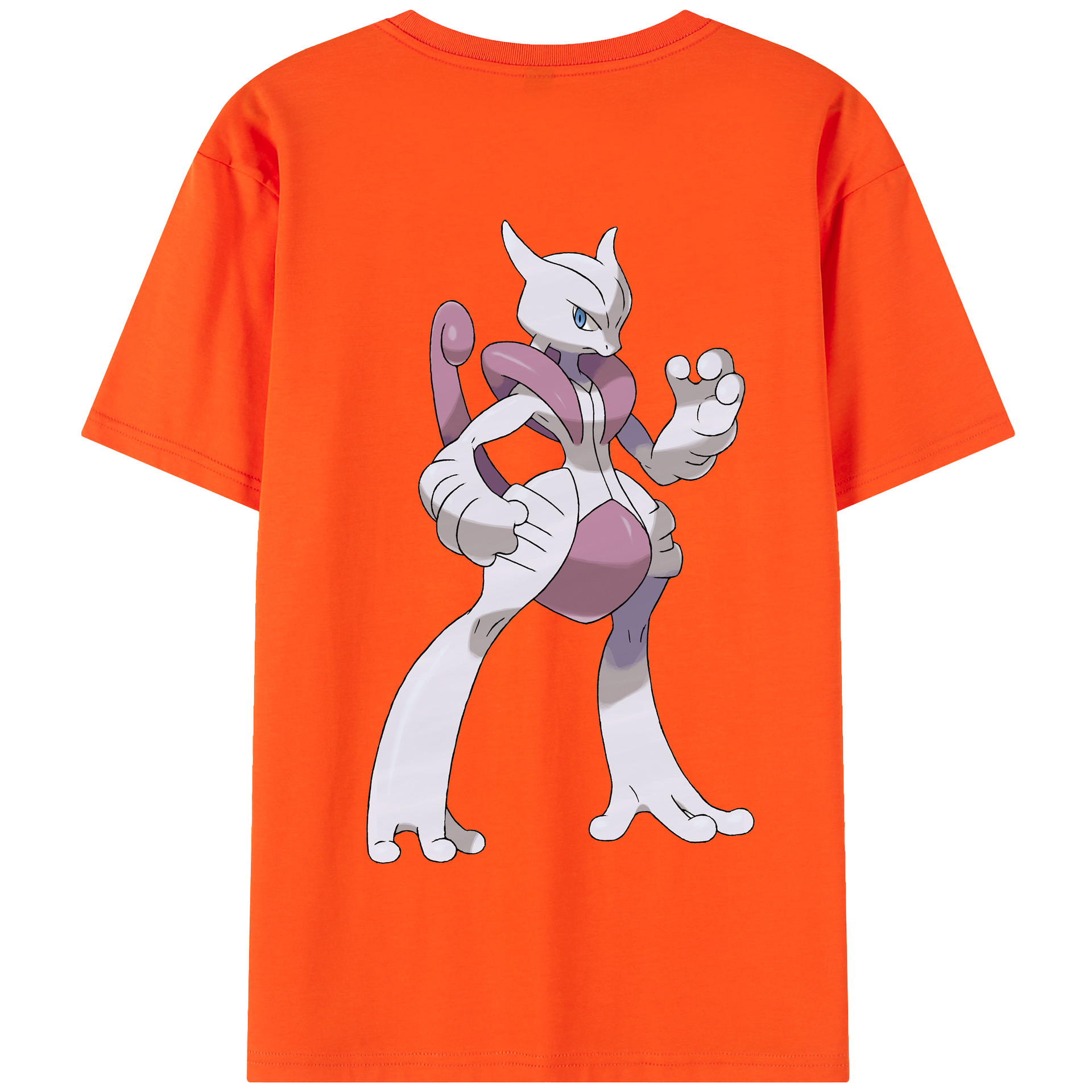 （画像用） ポケットモンスター Pokémon 綿100％半袖Tシャツ（背面プリント）
