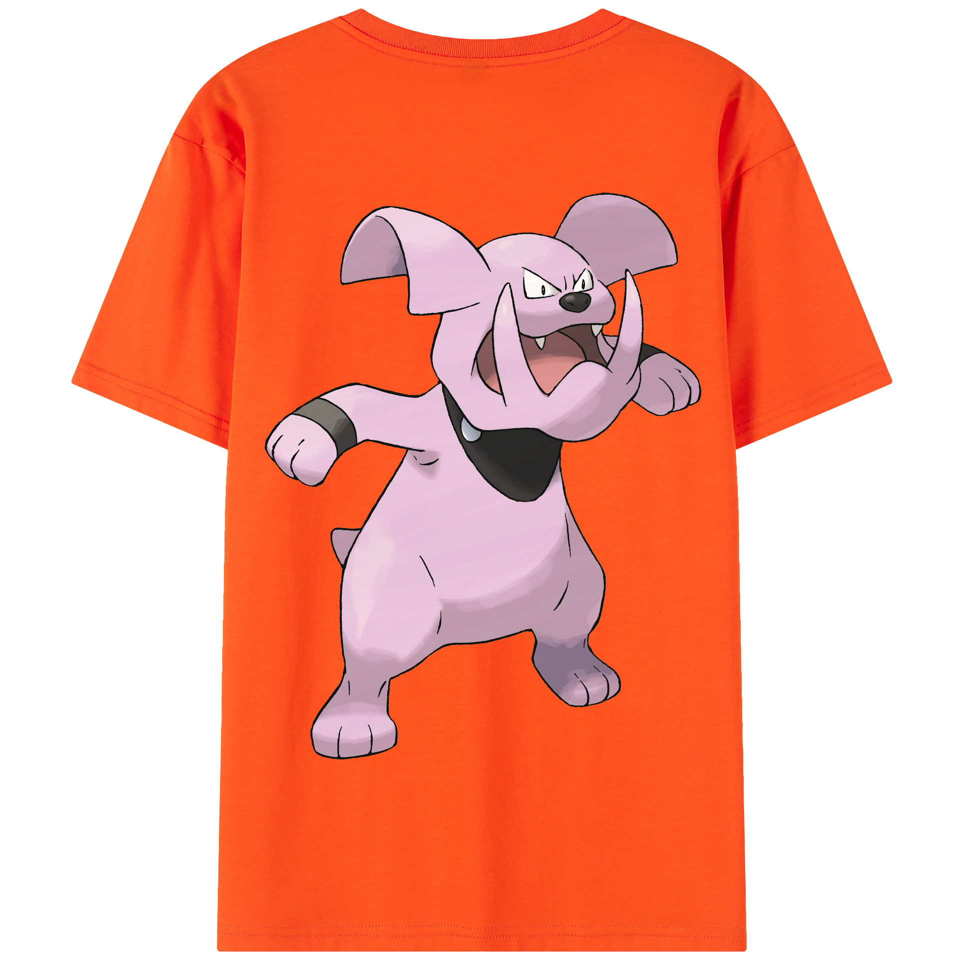 （画像用） ポケットモンスター Pokémon 綿100％半袖Tシャツ（背面プリント）