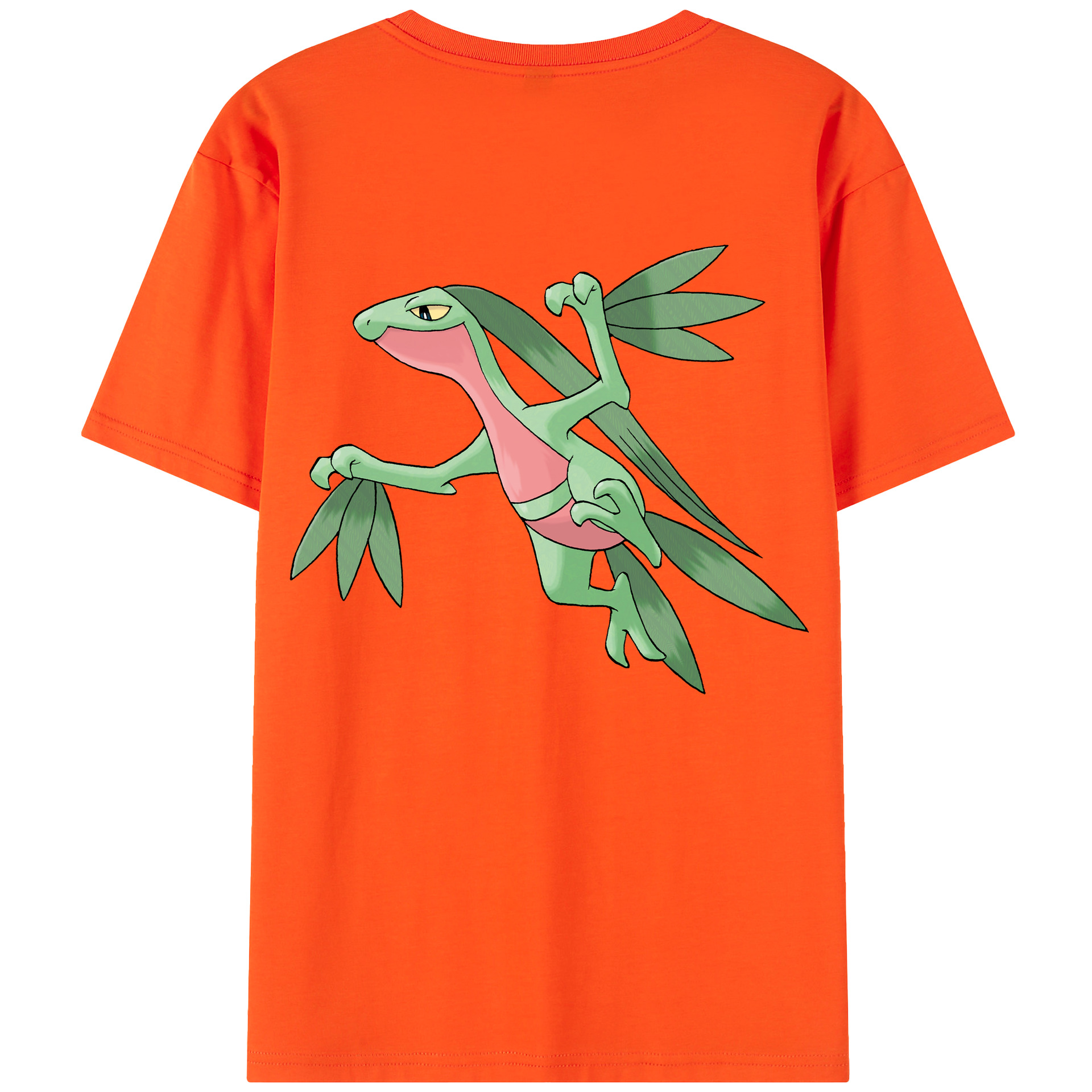 （画像用） ポケットモンスター Pokémon 綿100％半袖Tシャツ（背面プリント）