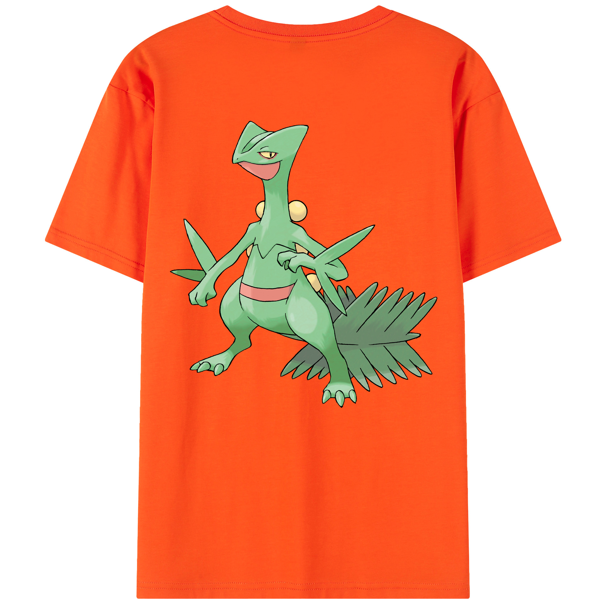 （画像用） ポケットモンスター Pokémon 綿100％半袖Tシャツ（背面プリント）