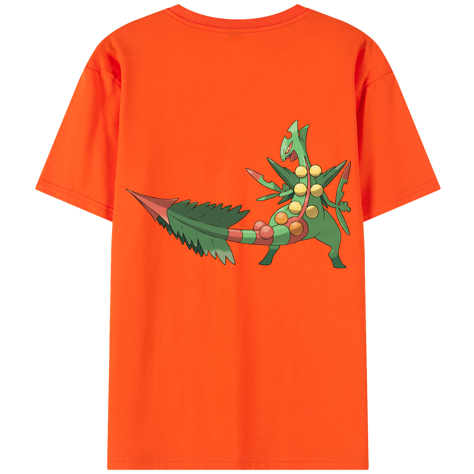 （画像用） ポケットモンスター Pokémon 綿100％半袖Tシャツ（背面プリント）