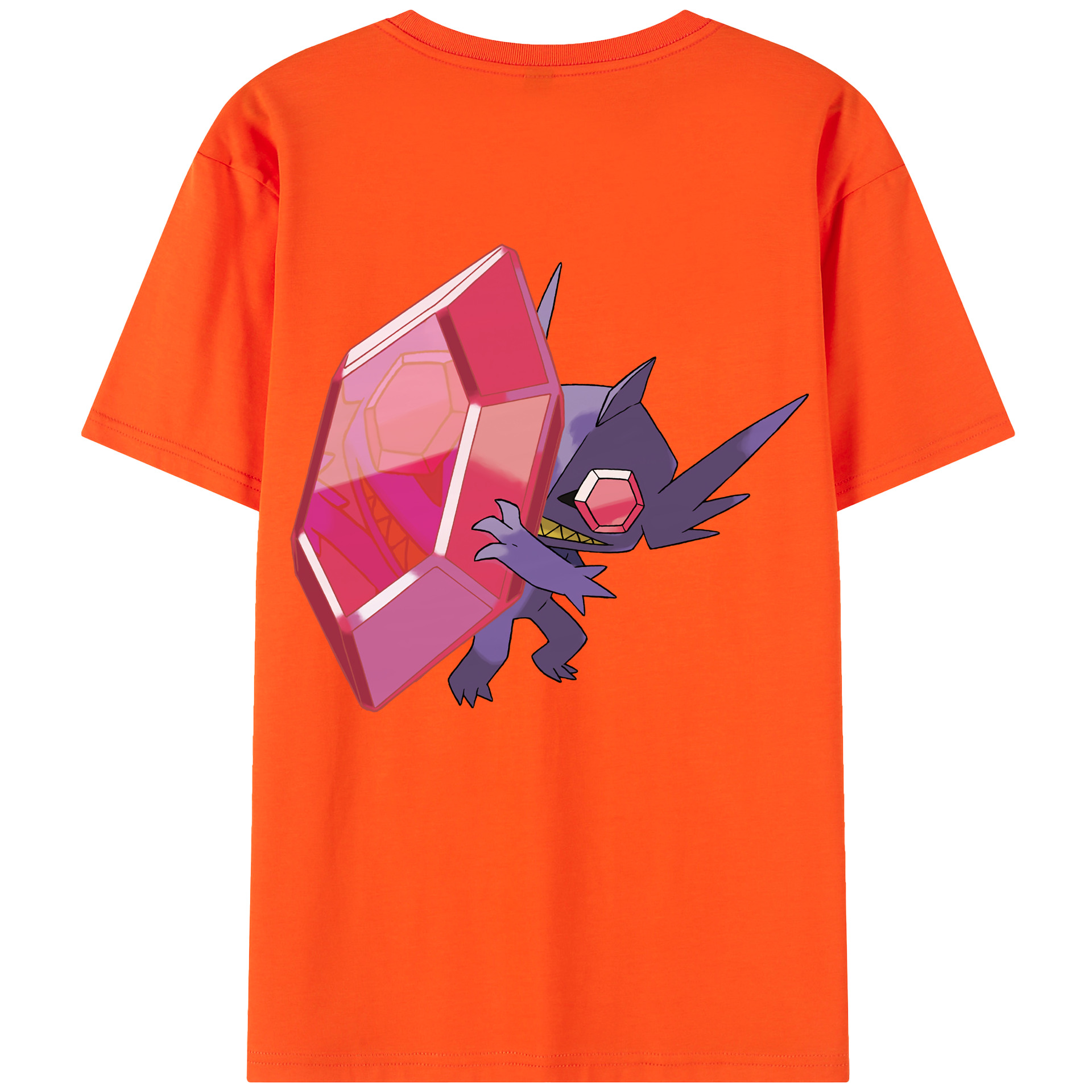（画像用） ポケットモンスター Pokémon 綿100％半袖Tシャツ（背面プリント）