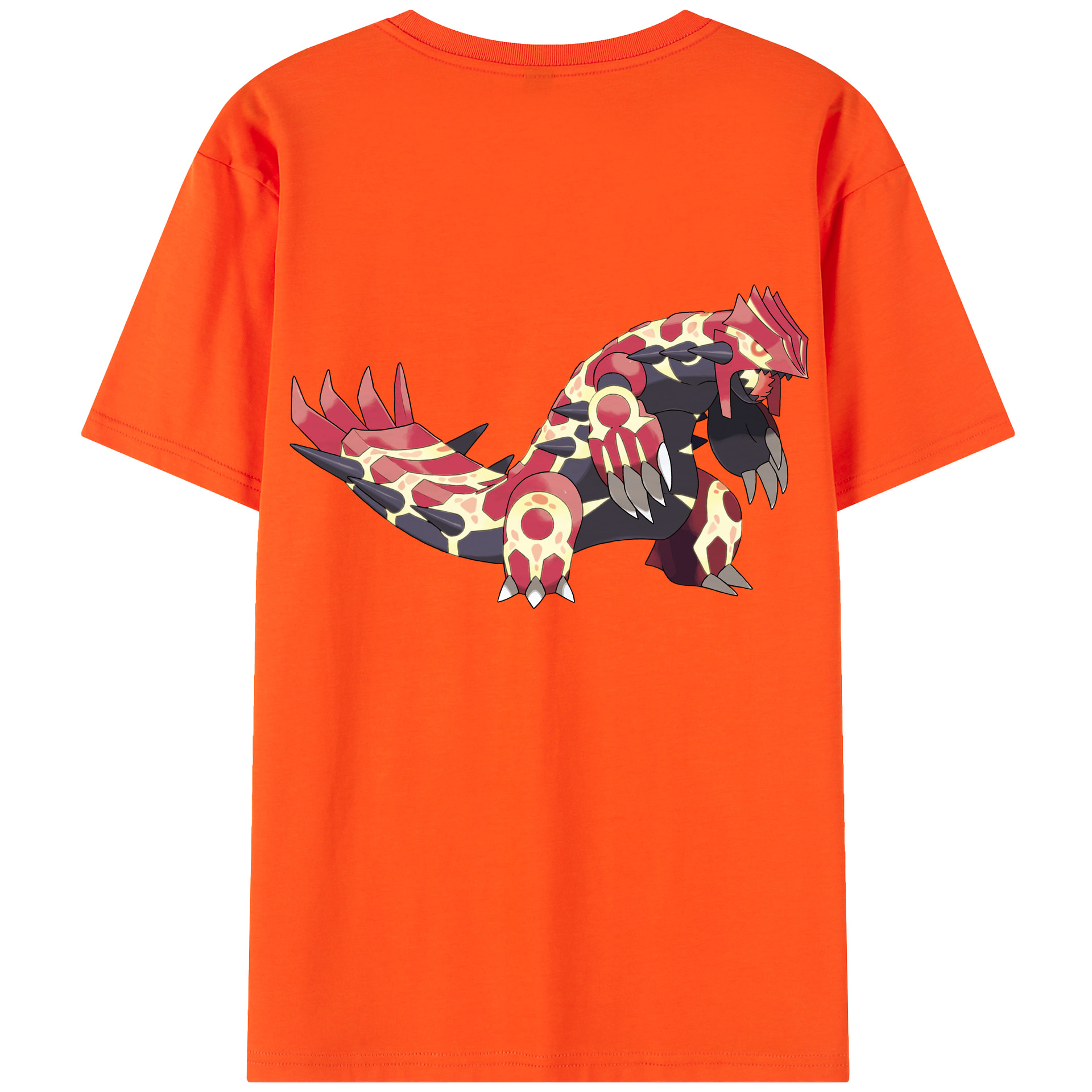 （画像用） ポケットモンスター Pokémon 綿100％半袖Tシャツ（背面プリント）