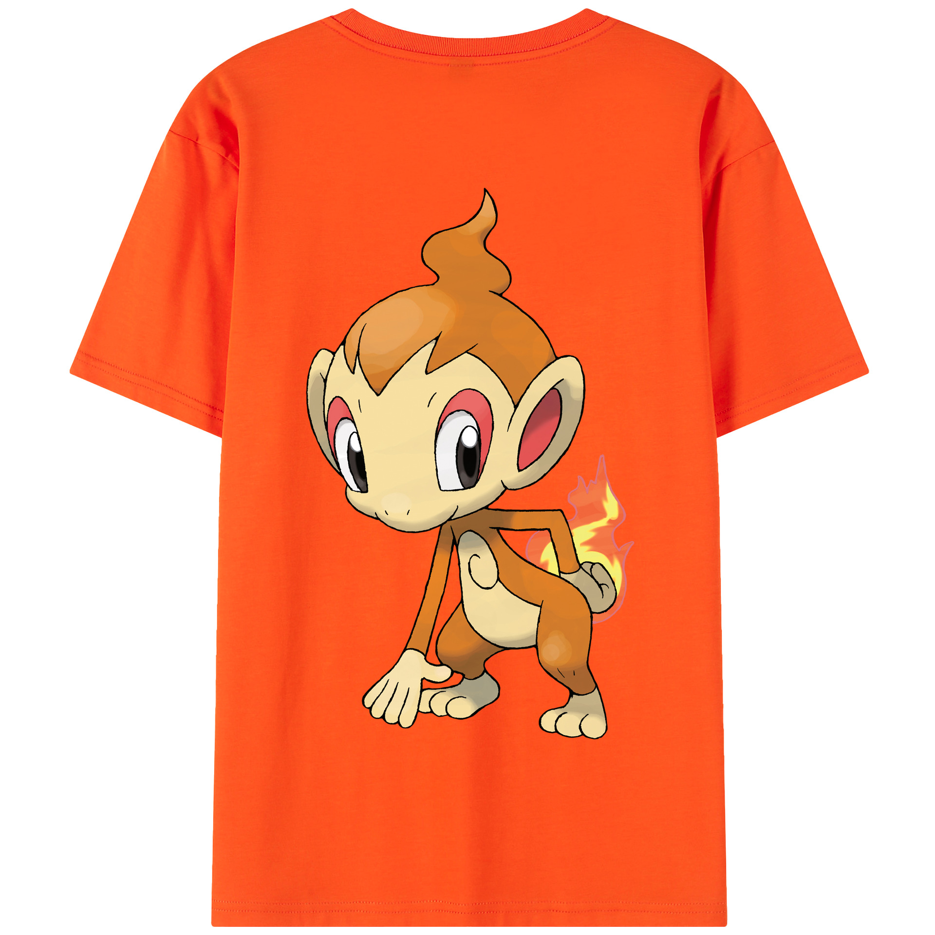 （画像用） ポケットモンスター Pokémon 綿100％半袖Tシャツ（背面プリント）