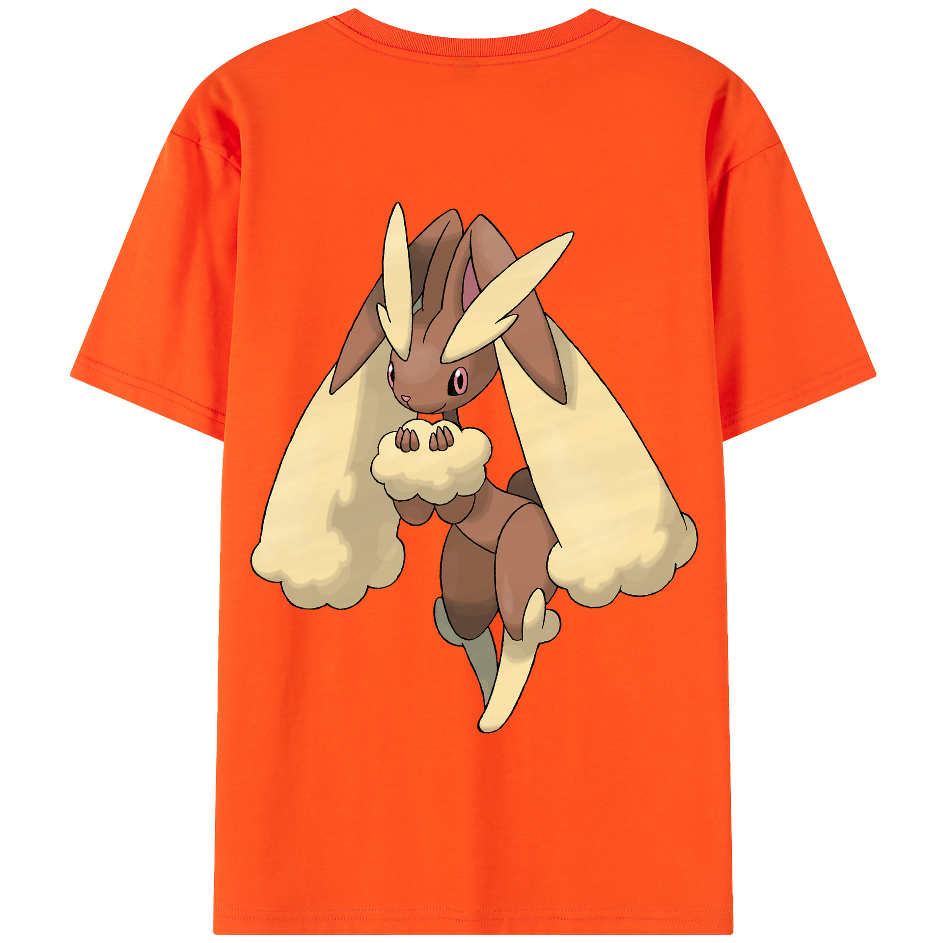 （画像用） ポケットモンスター Pokémon 綿100％半袖Tシャツ（背面プリント）