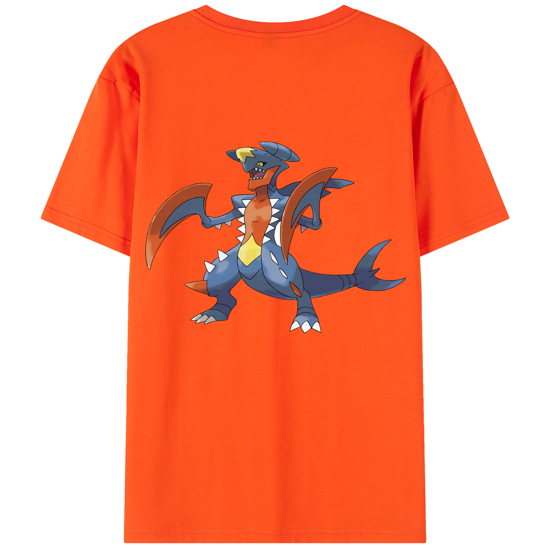 （画像用） ポケットモンスター Pokémon 綿100％半袖Tシャツ（背面プリント）