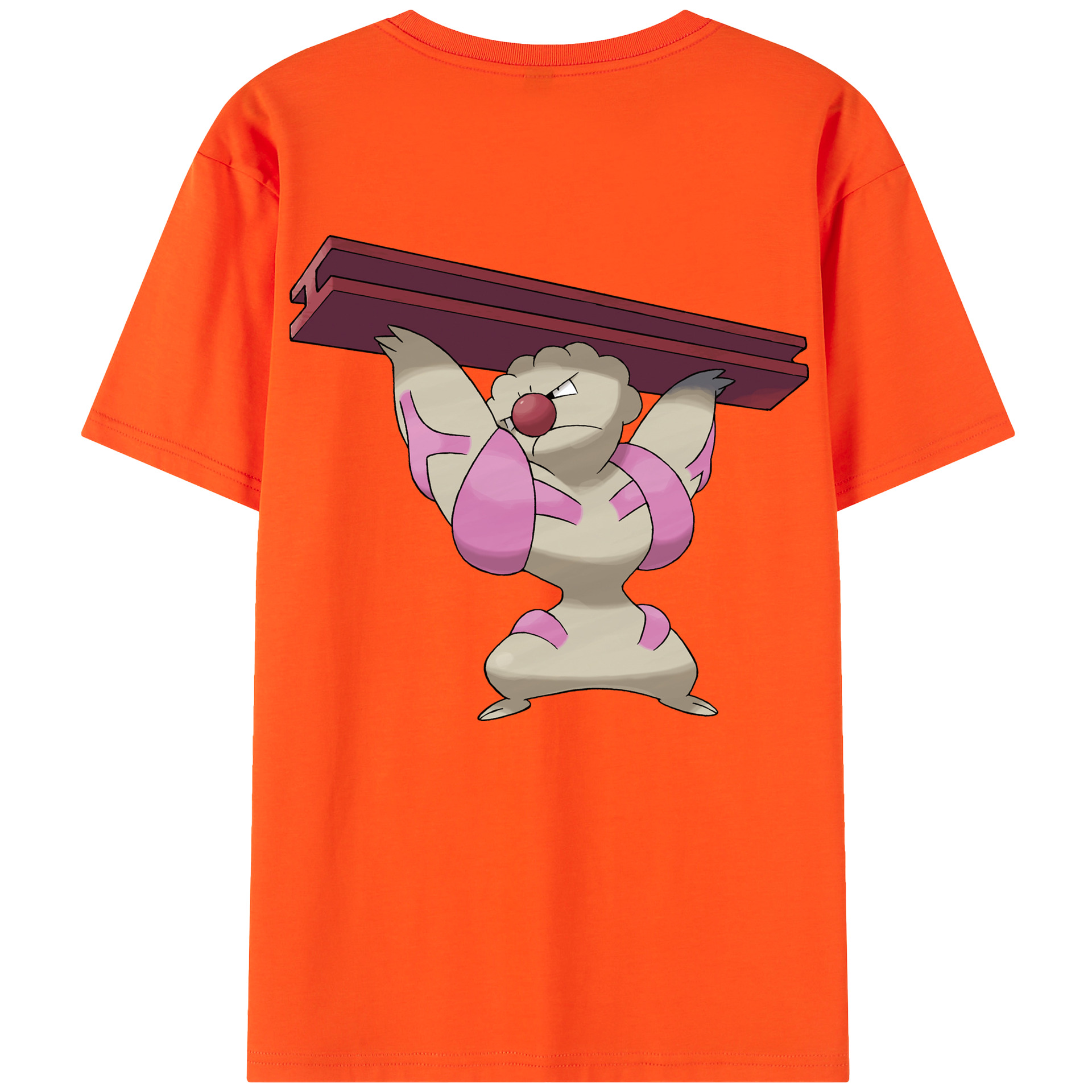 （画像用） ポケットモンスター Pokémon 綿100％半袖Tシャツ（背面プリント）
