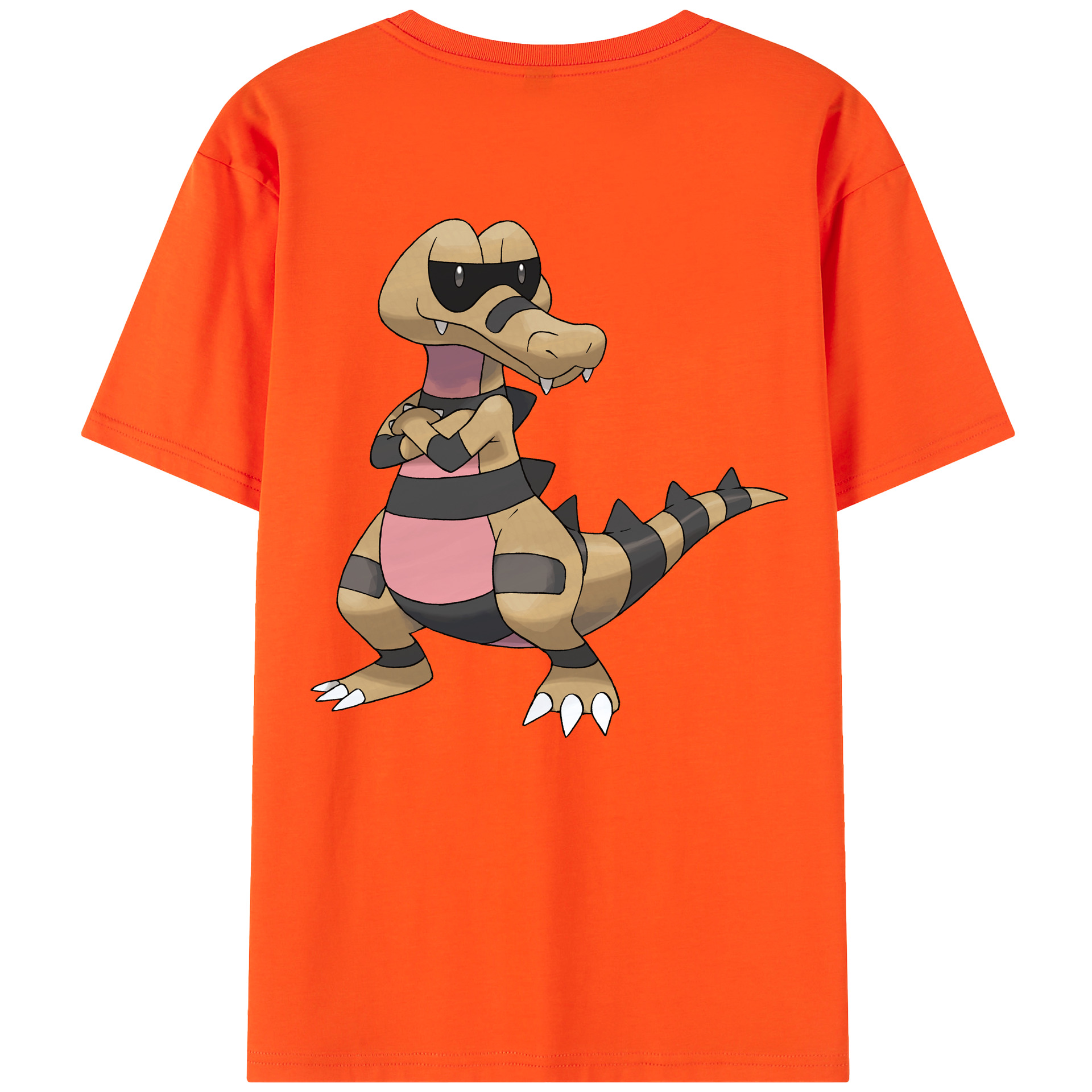 （画像用） ポケットモンスター Pokémon 綿100％半袖Tシャツ（背面プリント）