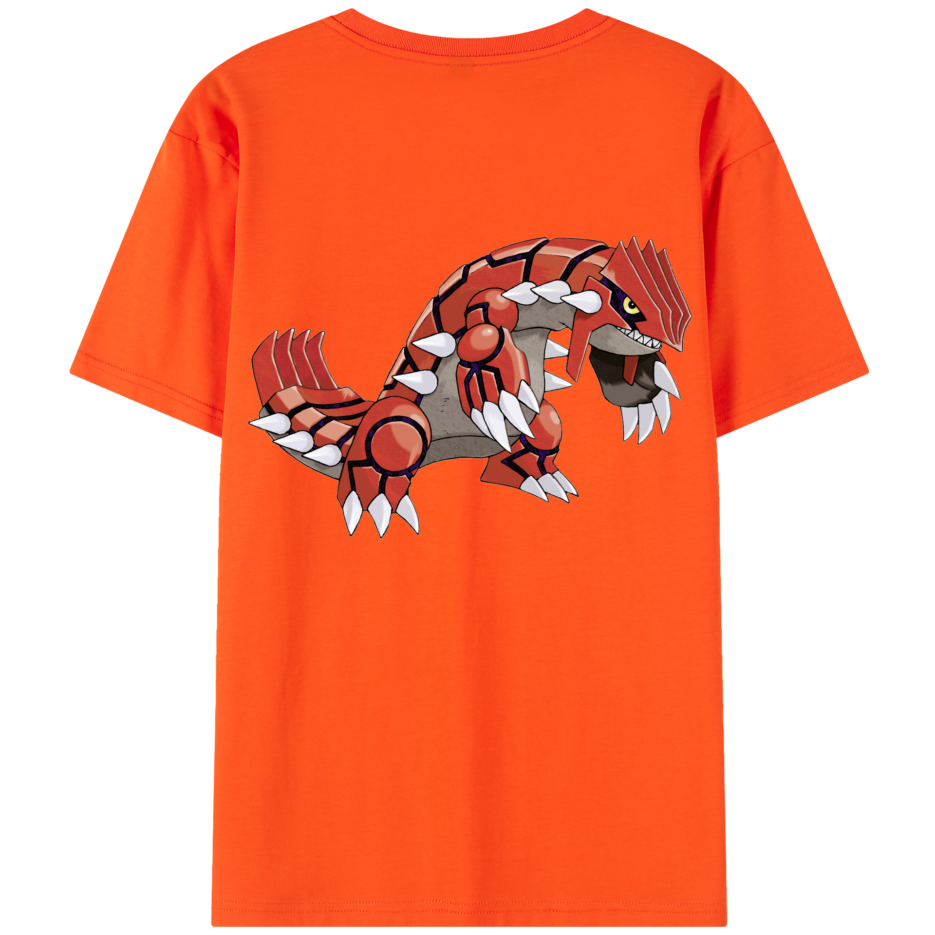 （画像用） ポケットモンスター Pokémon 綿100％半袖Tシャツ（背面プリント）