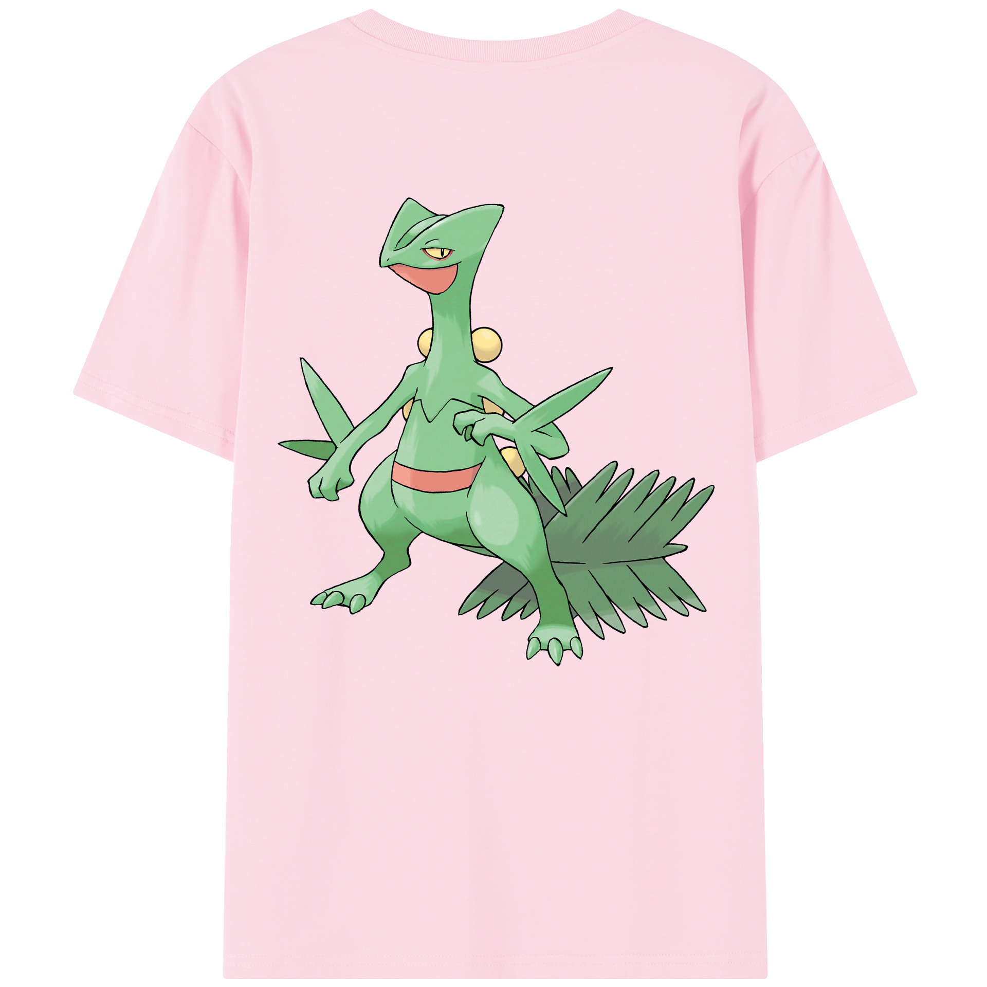 （画像用） ポケットモンスター Pokémon 綿100％半袖Tシャツ（背面プリント）