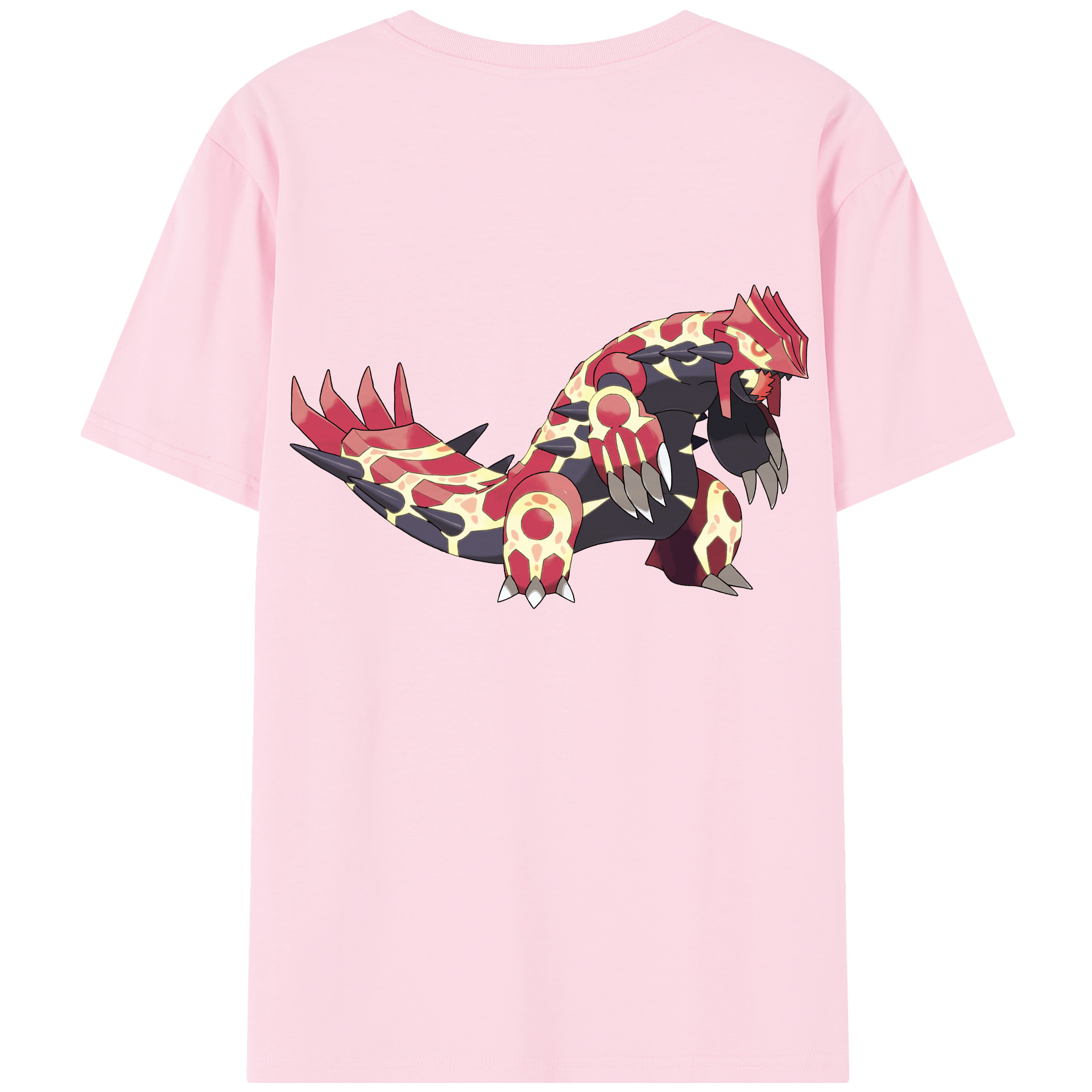 （画像用） ポケットモンスター Pokémon 綿100％半袖Tシャツ（背面プリント）