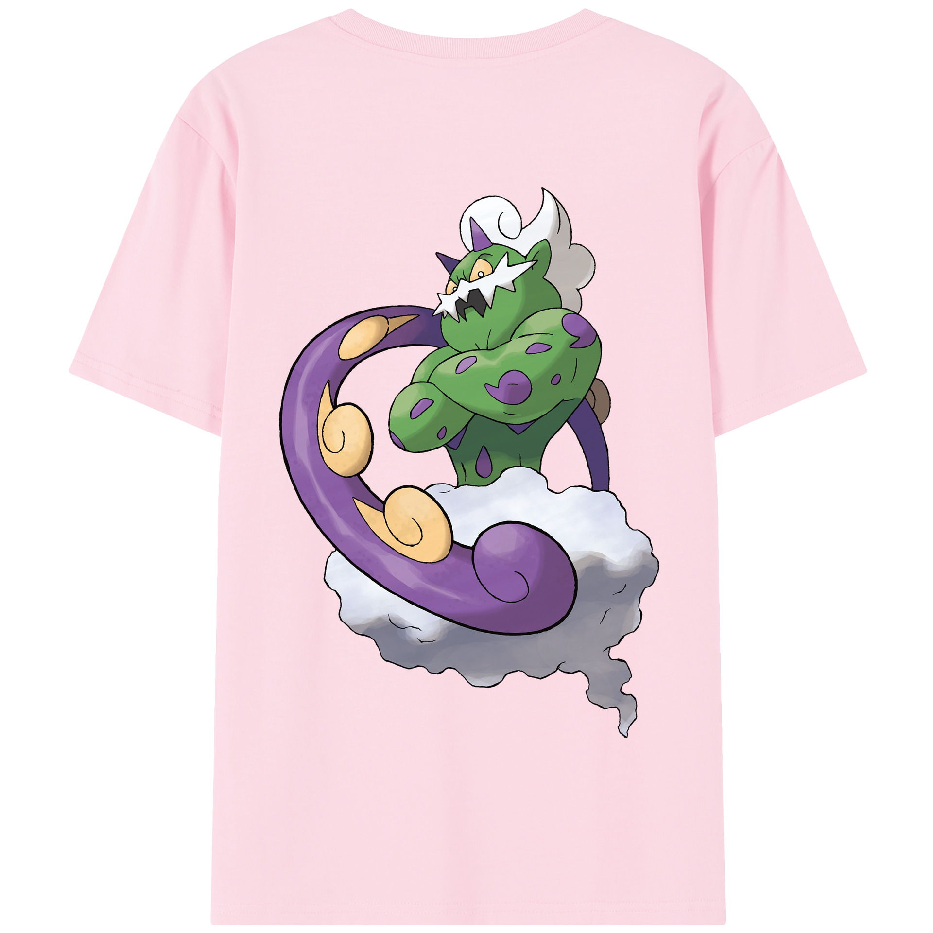 （画像用） ポケットモンスター Pokémon 綿100％半袖Tシャツ（背面プリント）