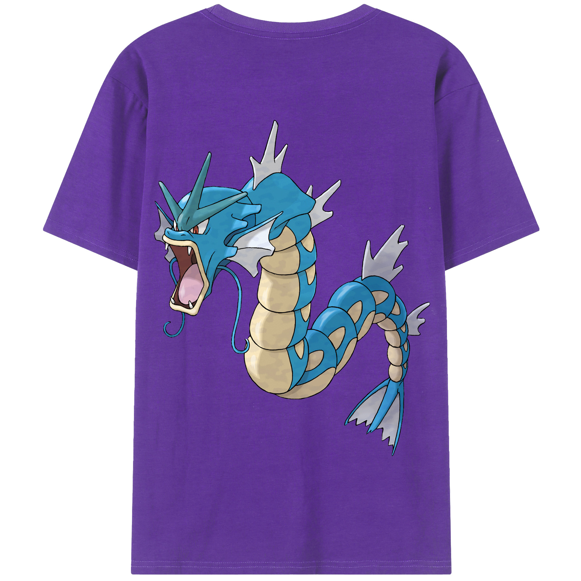 （画像用） ポケットモンスター Pokémon 綿100％半袖Tシャツ（背面プリント）