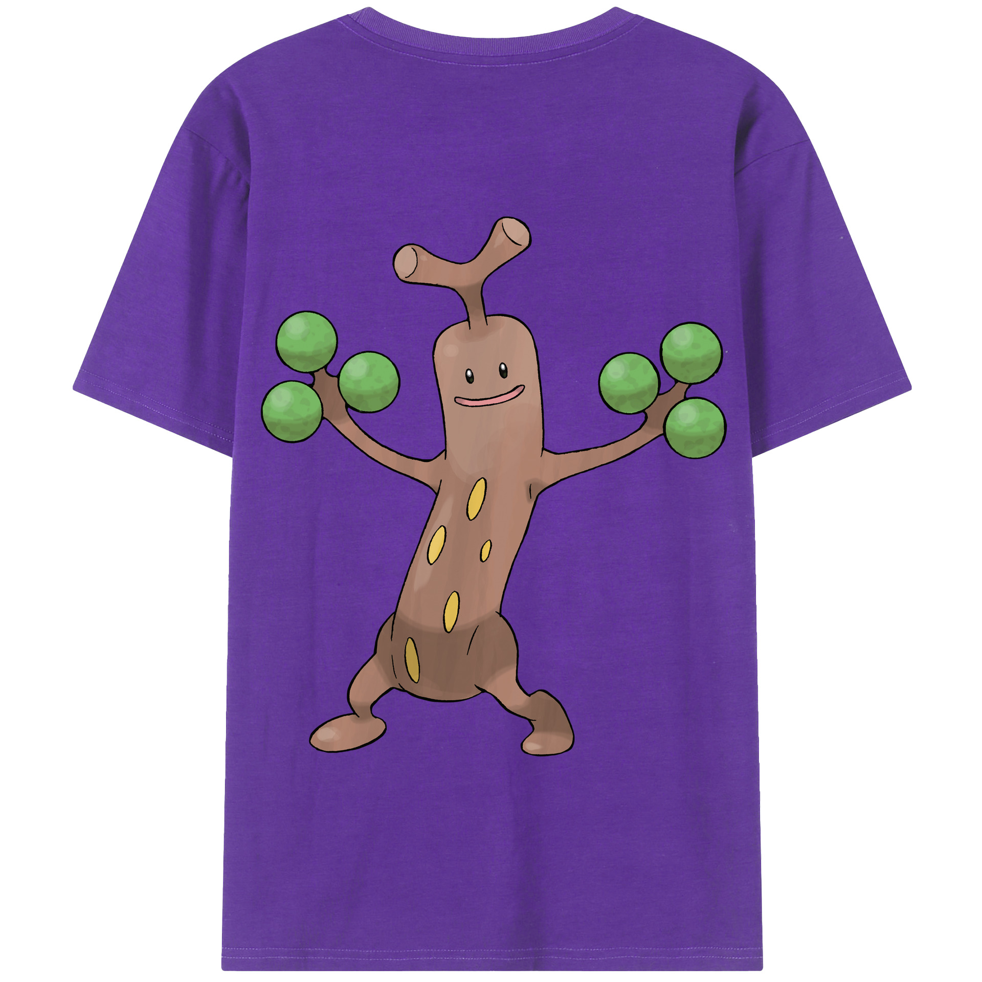 （画像用） ポケットモンスター Pokémon 綿100％半袖Tシャツ（背面プリント）