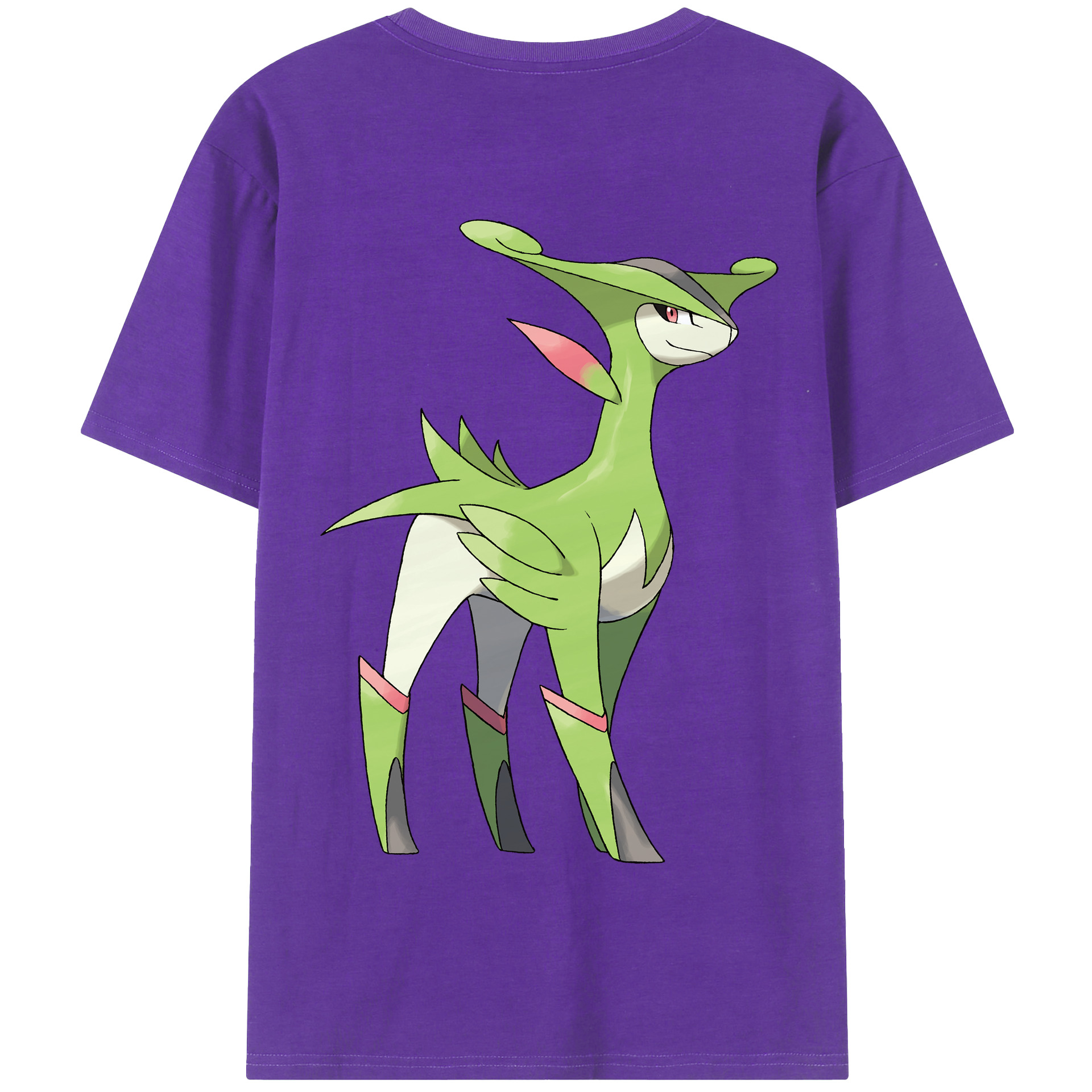 （画像用） ポケットモンスター Pokémon 綿100％半袖Tシャツ（背面プリント）