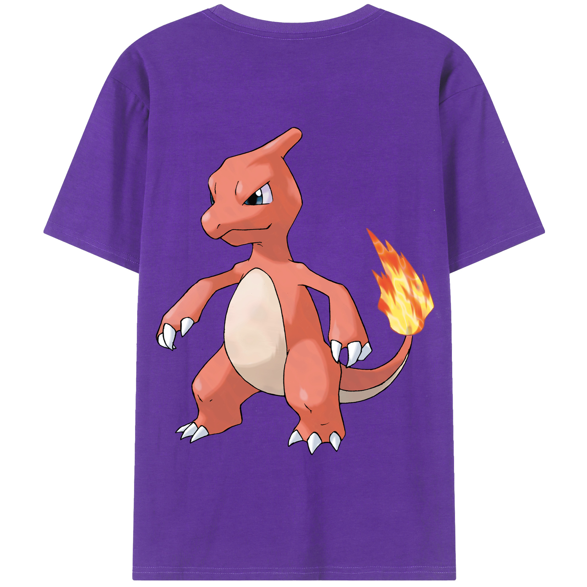 （画像用） ポケットモンスター Pokémon 綿100％半袖Tシャツ（背面プリント）