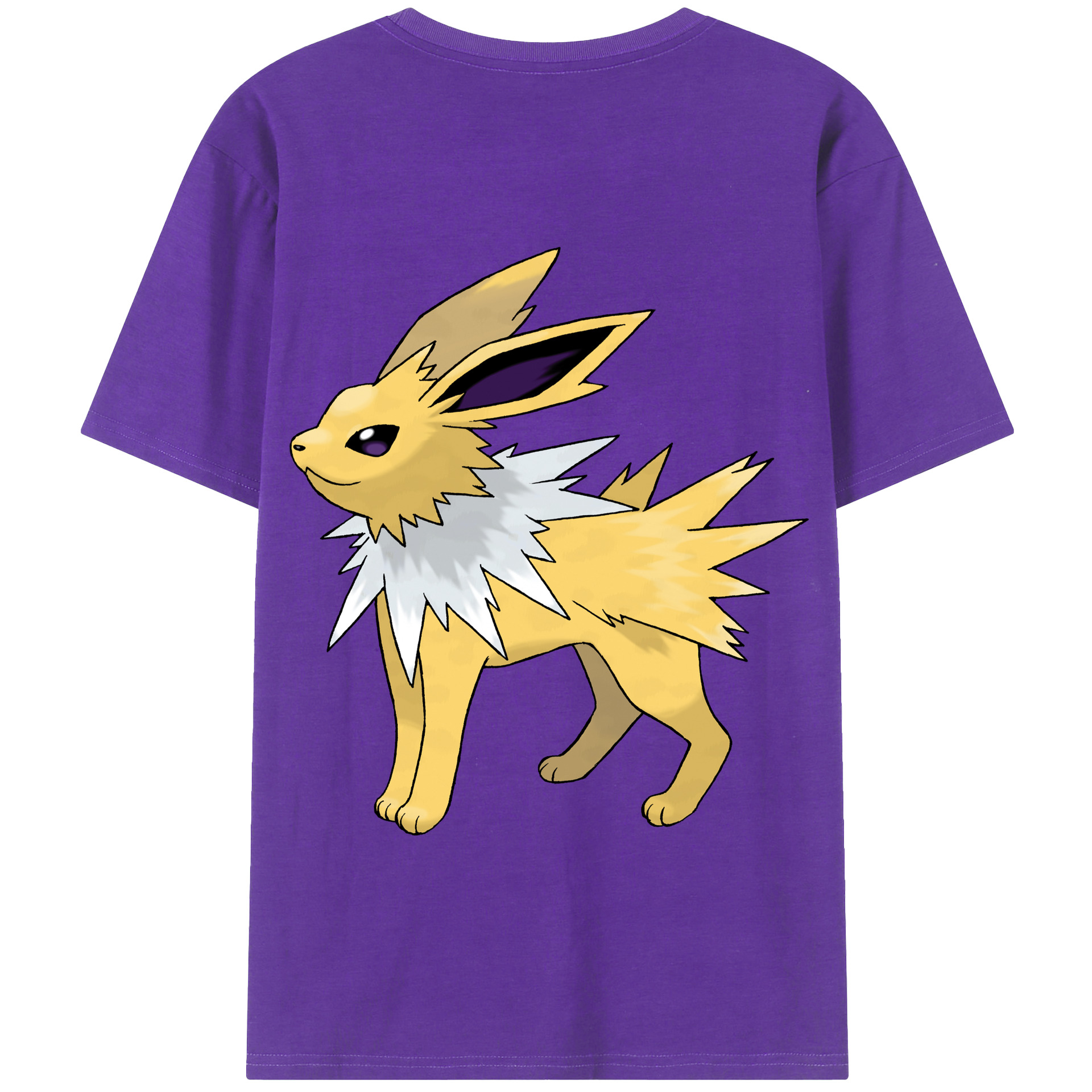 （画像用） ポケットモンスター Pokémon 綿100％半袖Tシャツ（背面プリント）