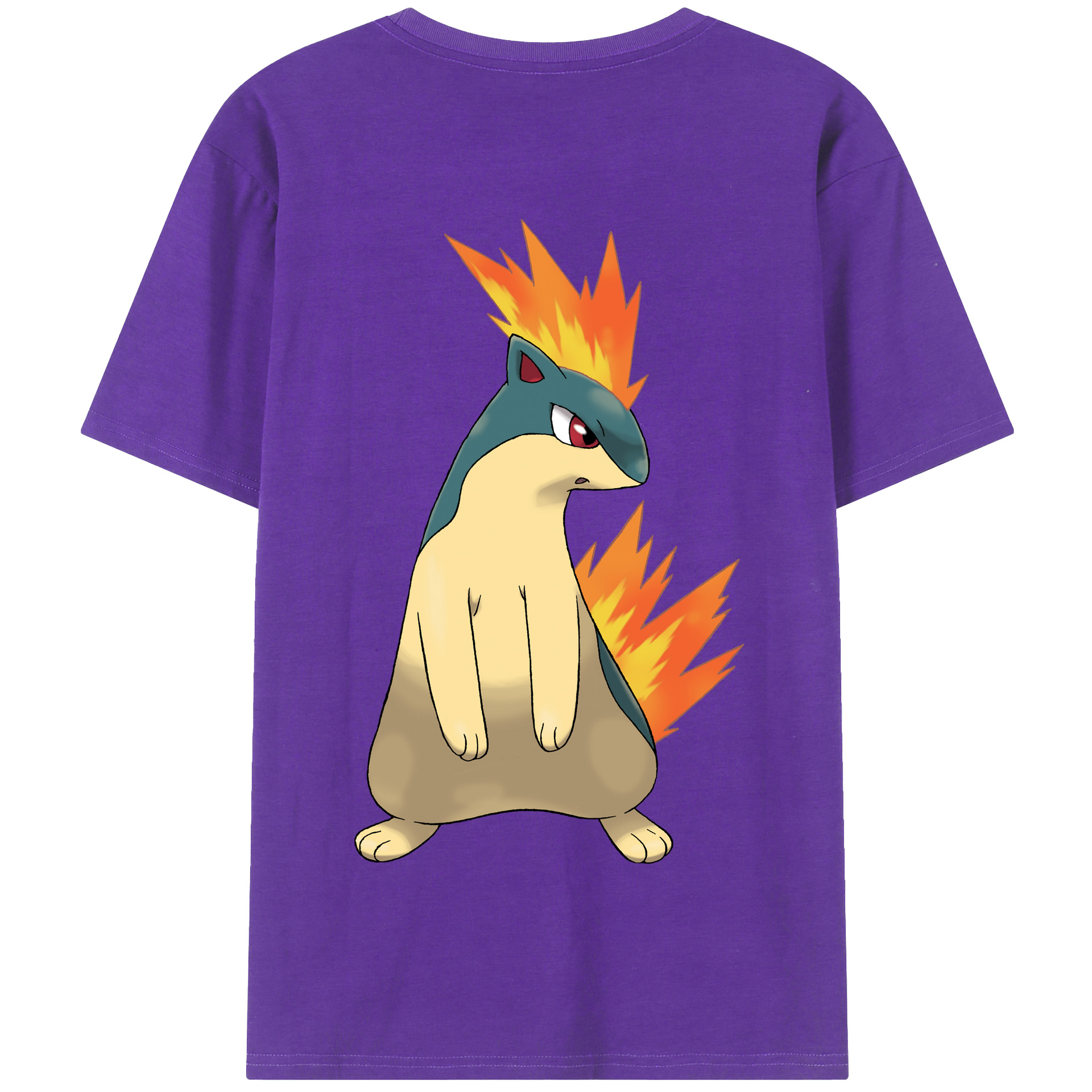 （画像用） ポケットモンスター Pokémon 綿100％半袖Tシャツ（背面プリント）