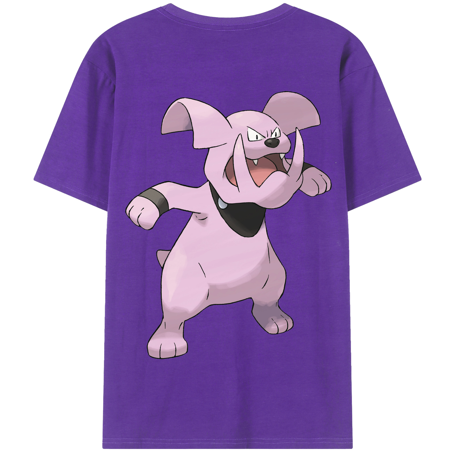 （画像用） ポケットモンスター Pokémon 綿100％半袖Tシャツ（背面プリント）