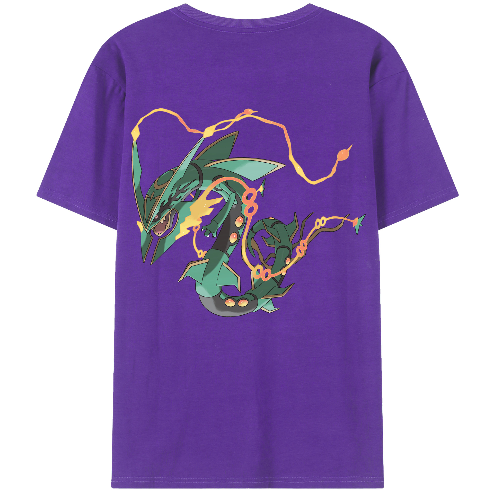 （画像用） ポケットモンスター Pokémon 綿100％半袖Tシャツ（背面プリント）
