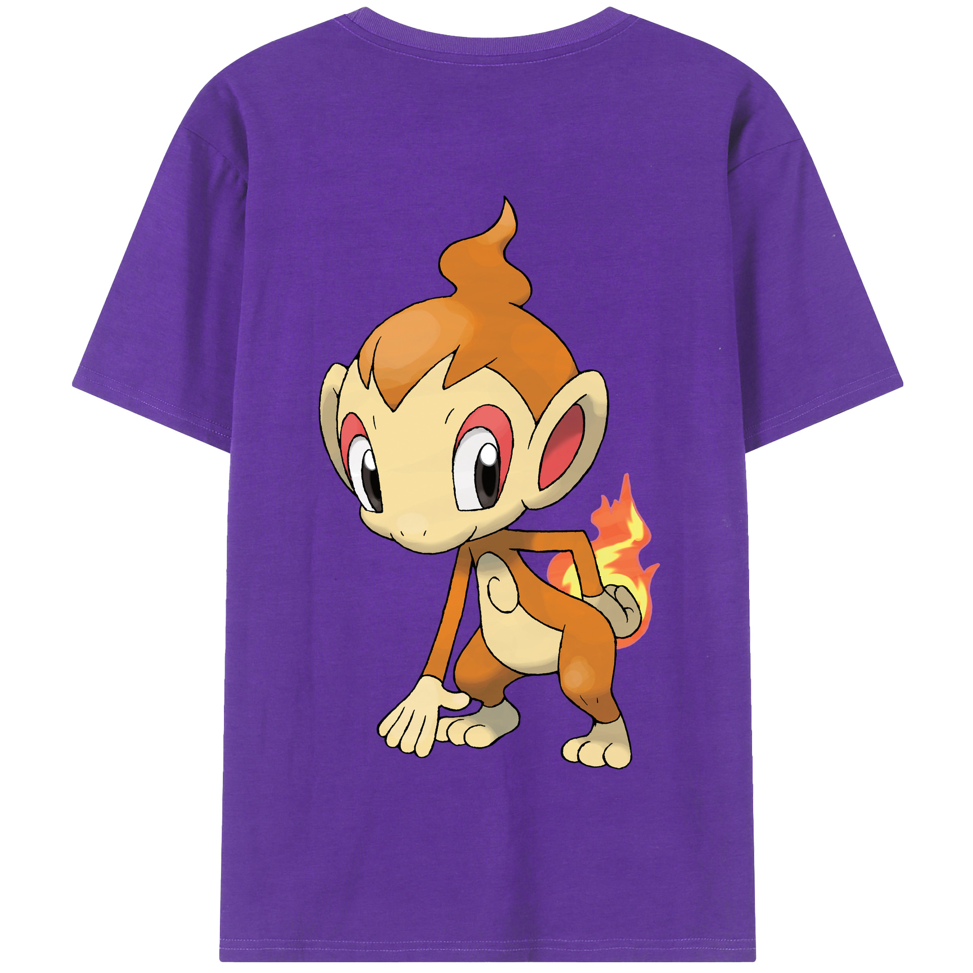 （画像用） ポケットモンスター Pokémon 綿100％半袖Tシャツ（背面プリント）