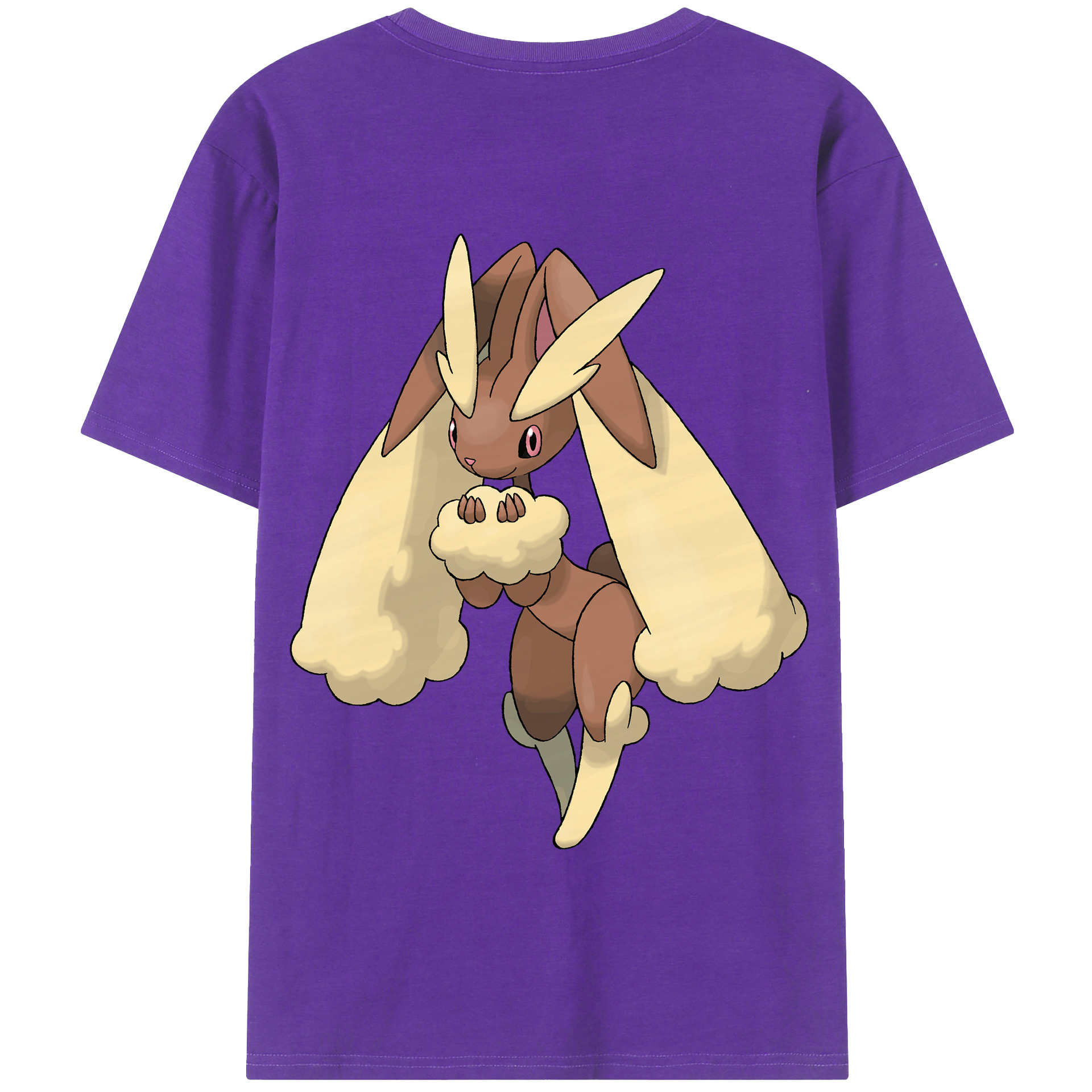 （画像用） ポケットモンスター Pokémon 綿100％半袖Tシャツ（背面プリント）