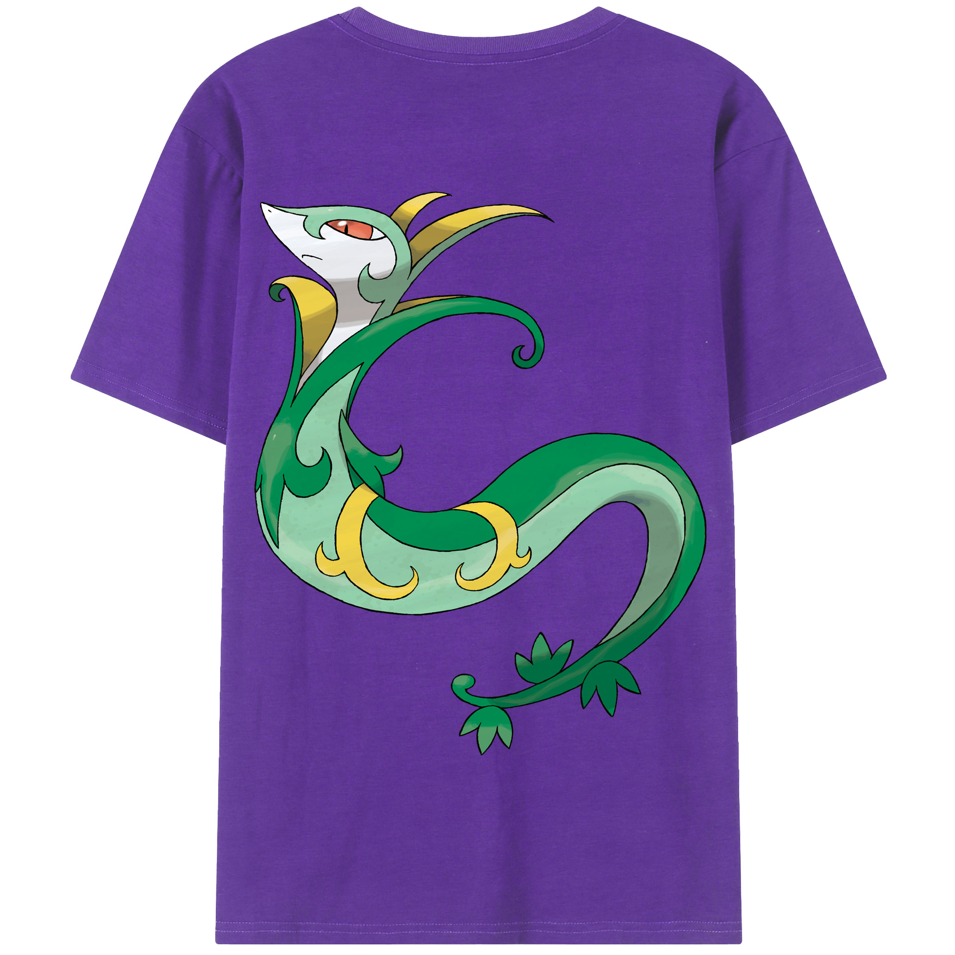 （画像用） ポケットモンスター Pokémon 綿100％半袖Tシャツ（背面プリント）