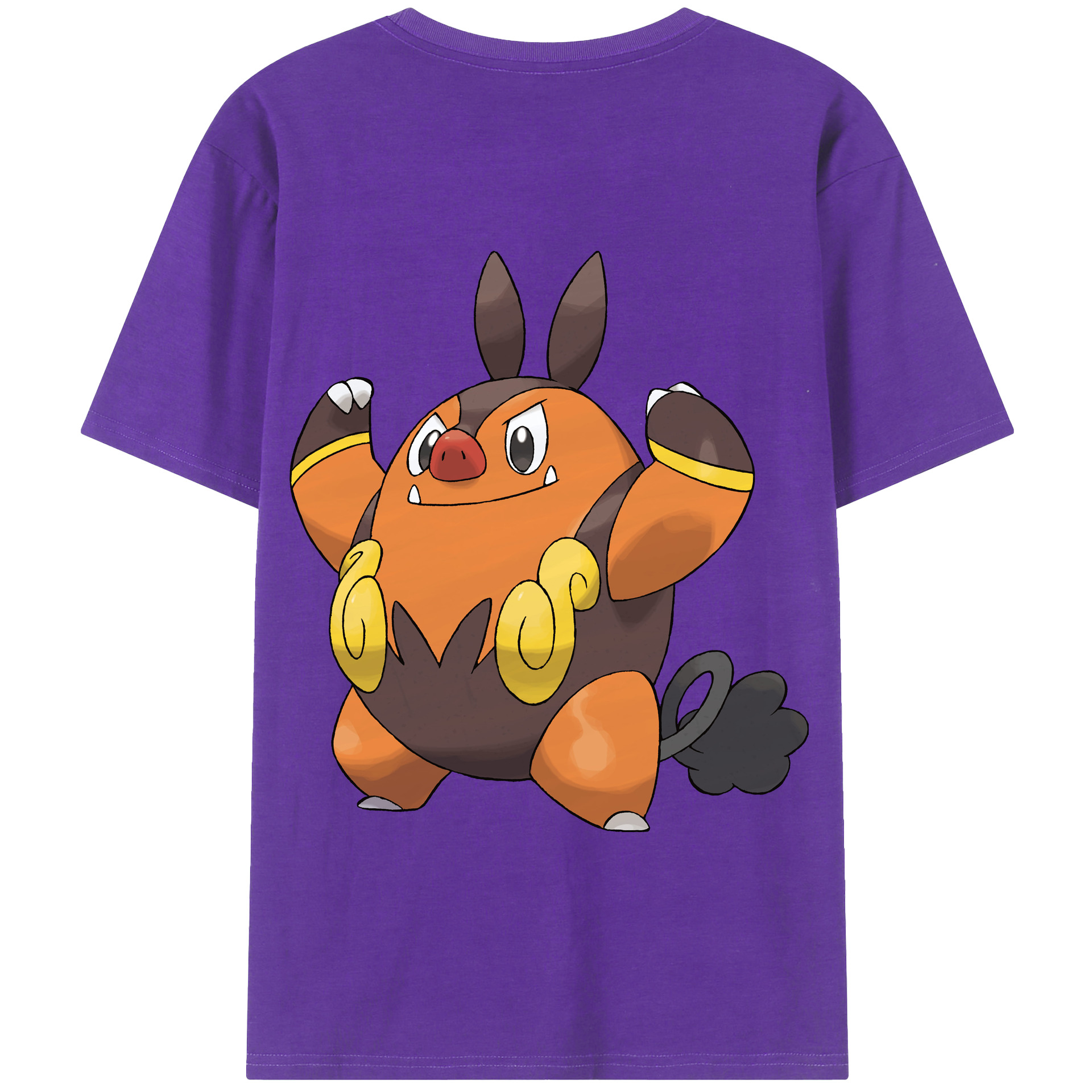 （画像用） ポケットモンスター Pokémon 綿100％半袖Tシャツ（背面プリント）