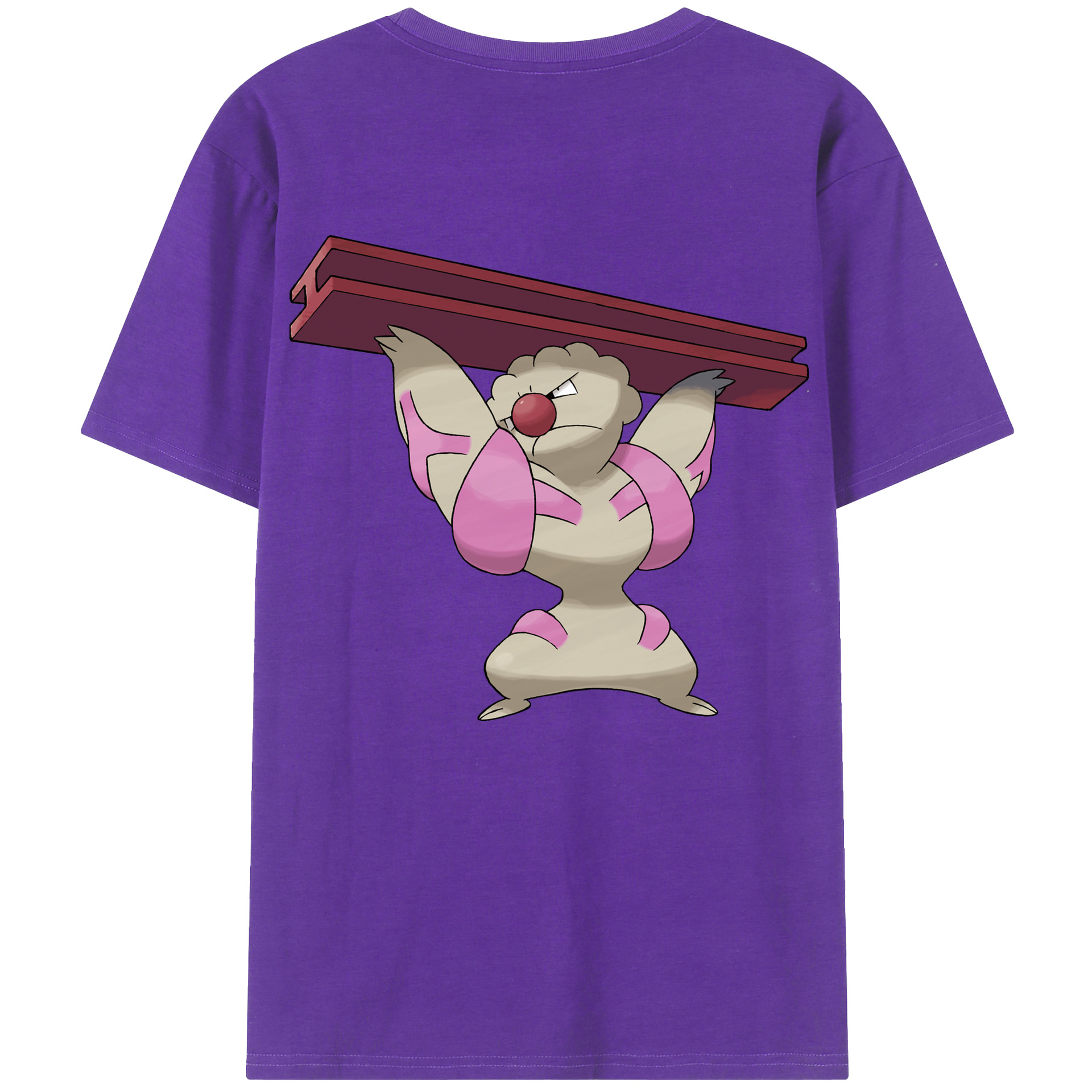 （画像用） ポケットモンスター Pokémon 綿100％半袖Tシャツ（背面プリント）