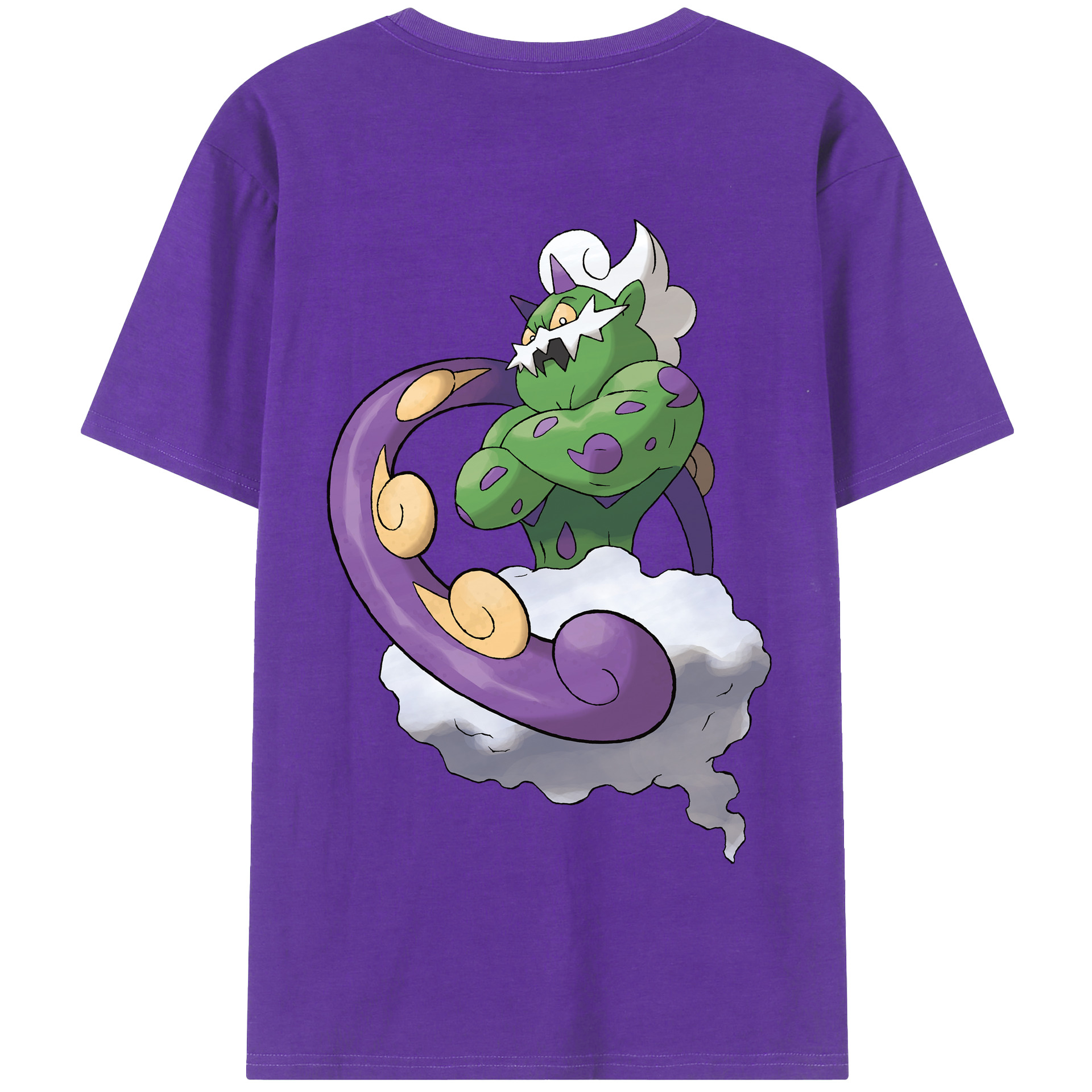 （画像用） ポケットモンスター Pokémon 綿100％半袖Tシャツ（背面プリント）