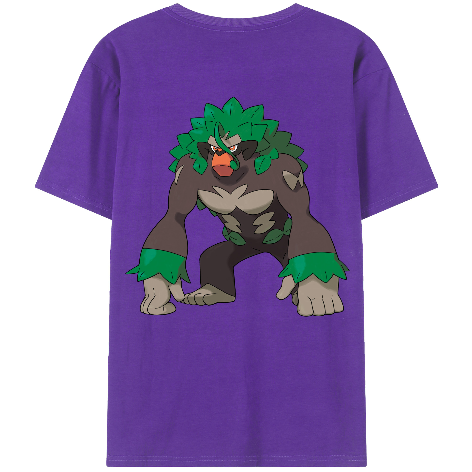 （画像用） ポケットモンスター Pokémon 綿100％半袖Tシャツ（背面プリント）